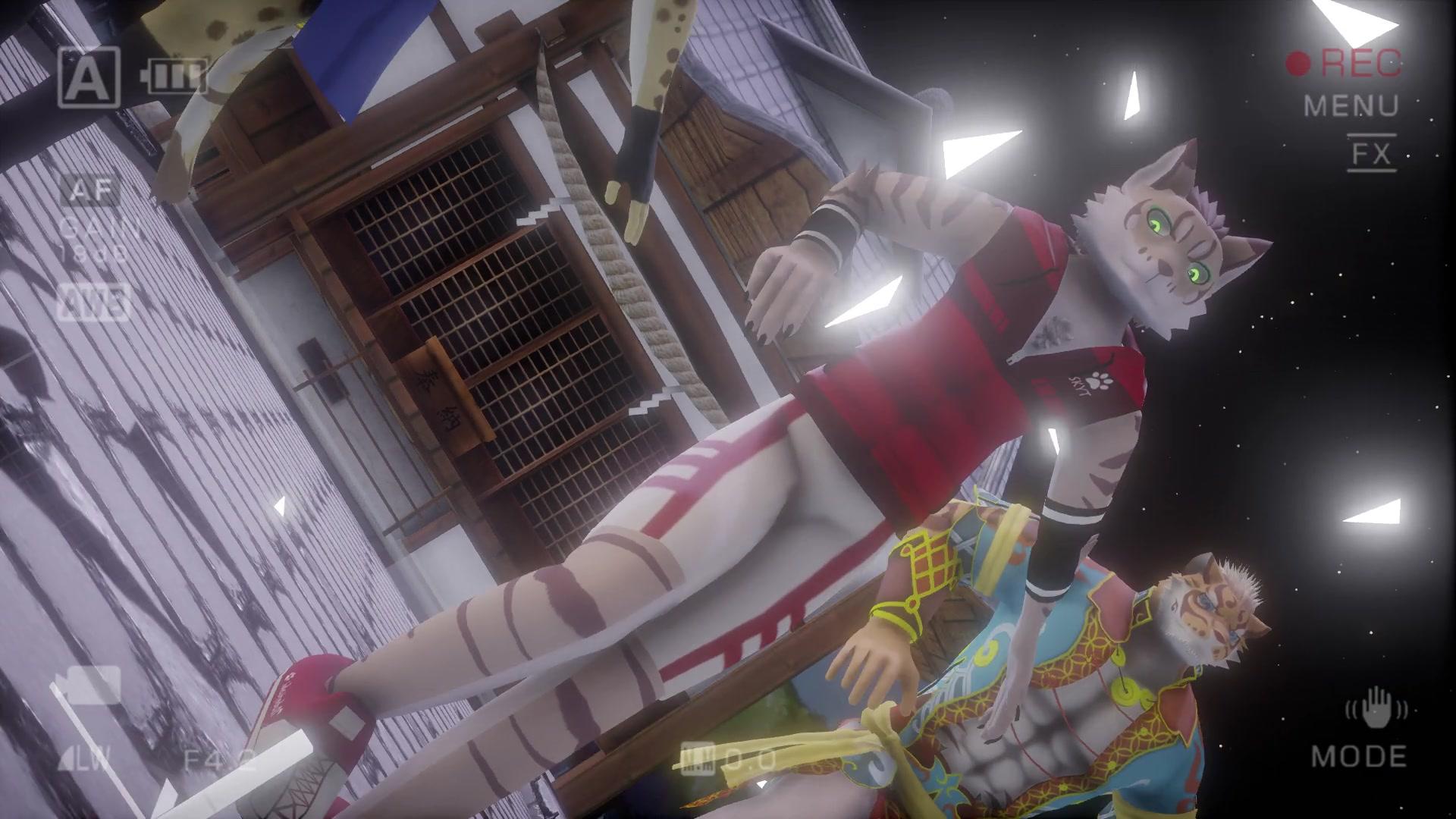 家有大猫的全部相关视频_bilibili_哔哩哔哩弹幕视频网