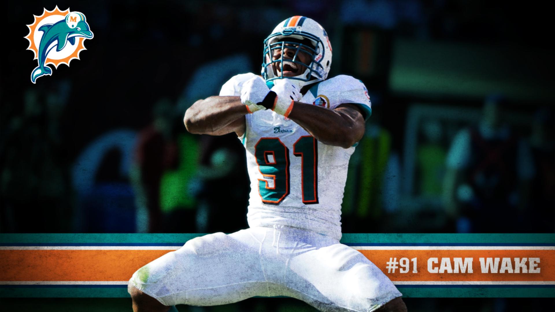 Miami dolphins background Gallery