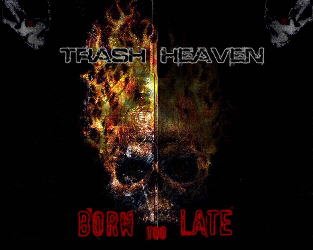 Trash Heaven Born Too Late, Wallpaper Metal Graphic Arts: Heavy