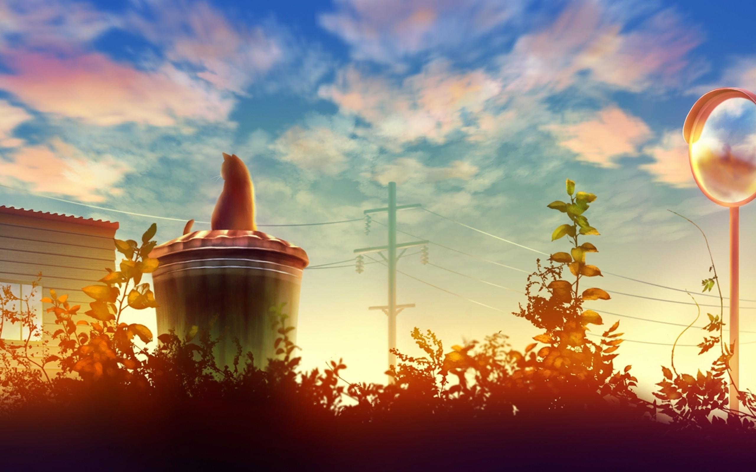 Download 2560x1600 Anime Landscape, Kitten, Trash, Clouds Wallpaper