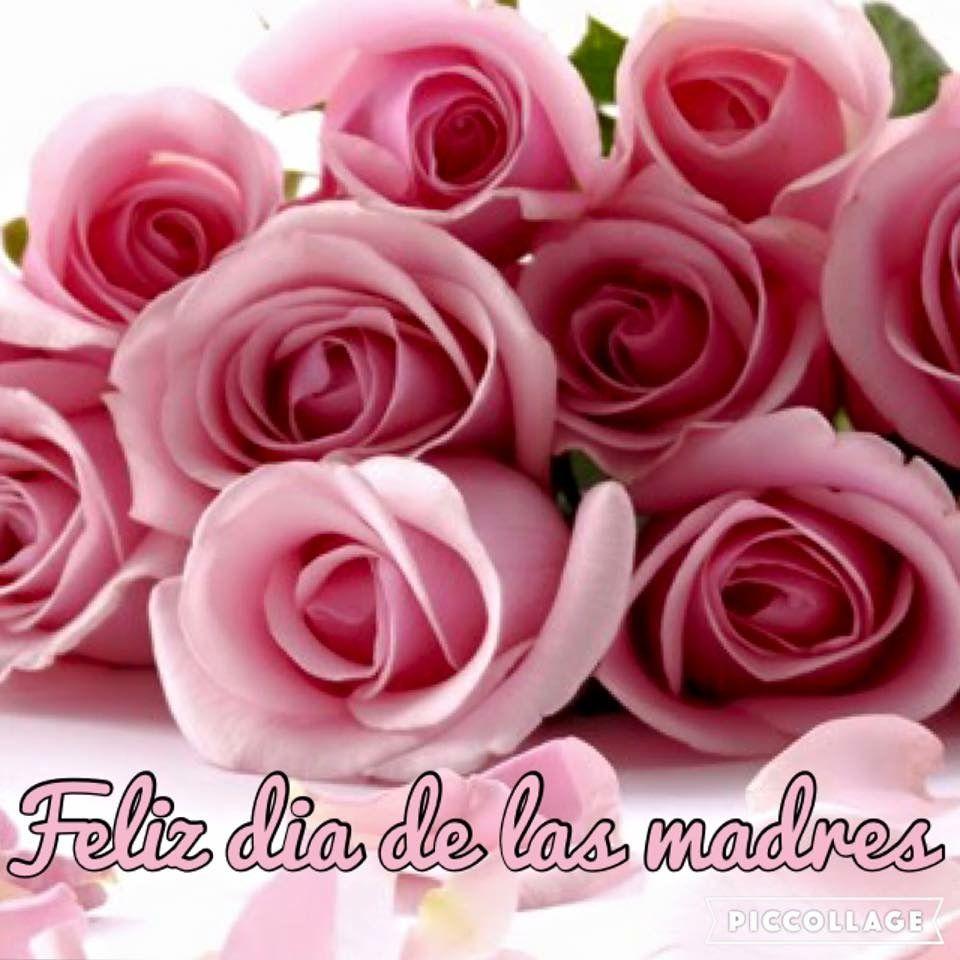 Rosas Rosas! Feliz día de las Madres. Quotes Make Life a Reason