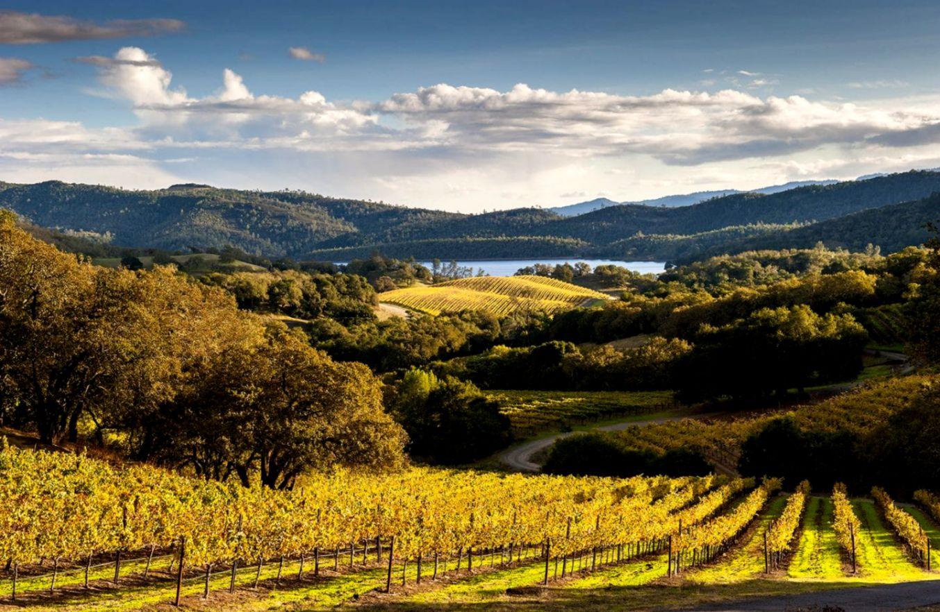Wine Country Movie Wallpapers Wallpaper Cave
