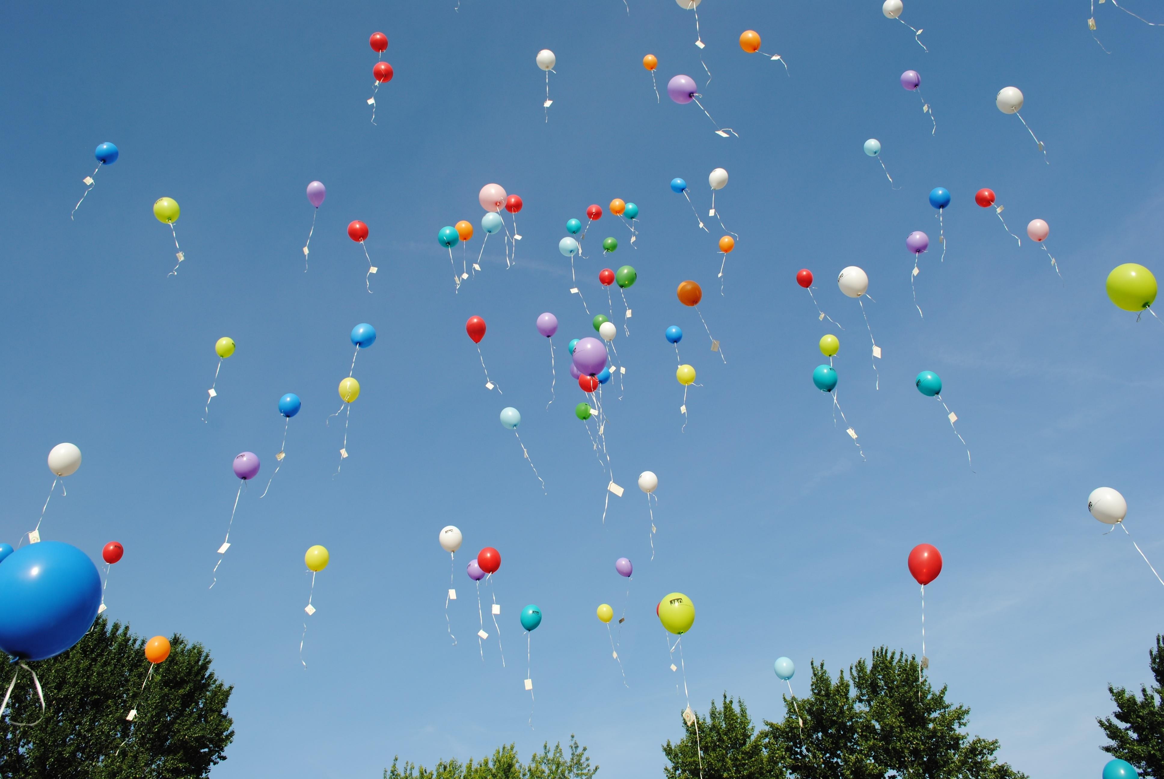 Celebration, Float, Balloons, Helium, celebration, multi colored