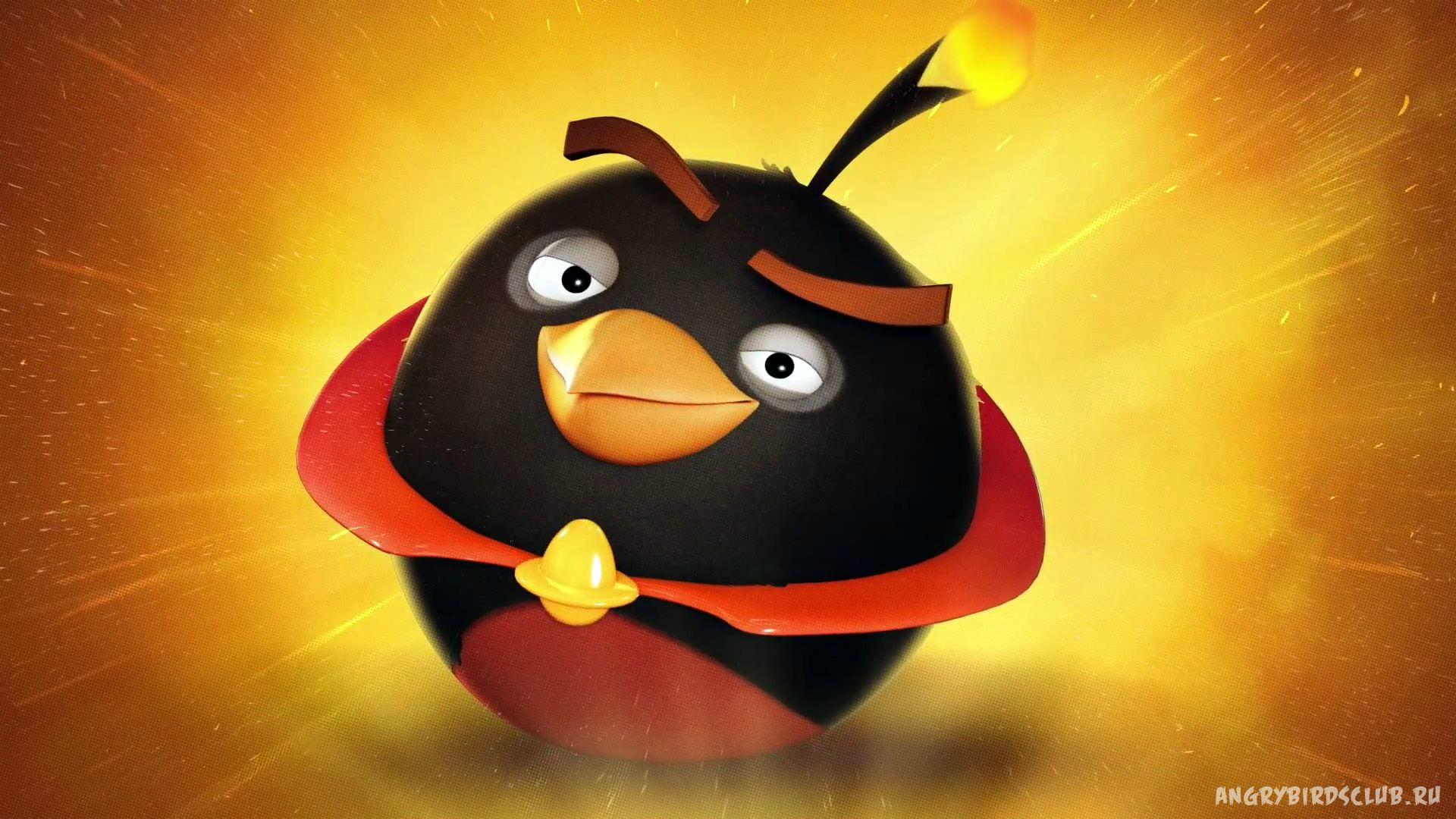 Angry Birds Bomb HD Wallpaper 26033