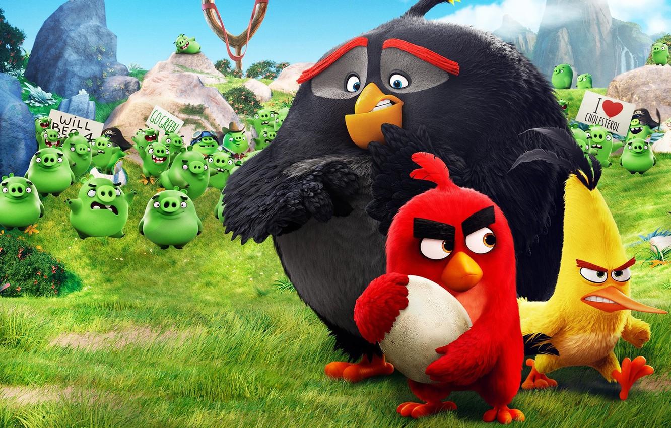 Wallpaper Red, game, pirate, birds, film, animated, angry, Angry Birds, Bad Piggies, pigs, animated movie, Bomb, Chuck, AB, pi image for desktop, section фильмы
