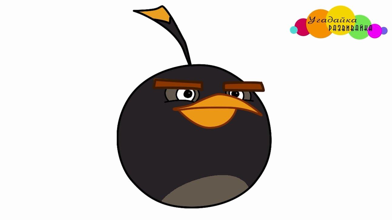 Angry Birds Drawing Colour Drawing Free Wallpaper Angry Birds