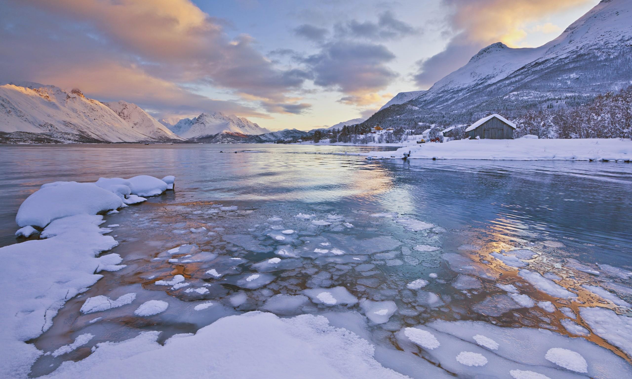 Arctic Wallpaper HD Download