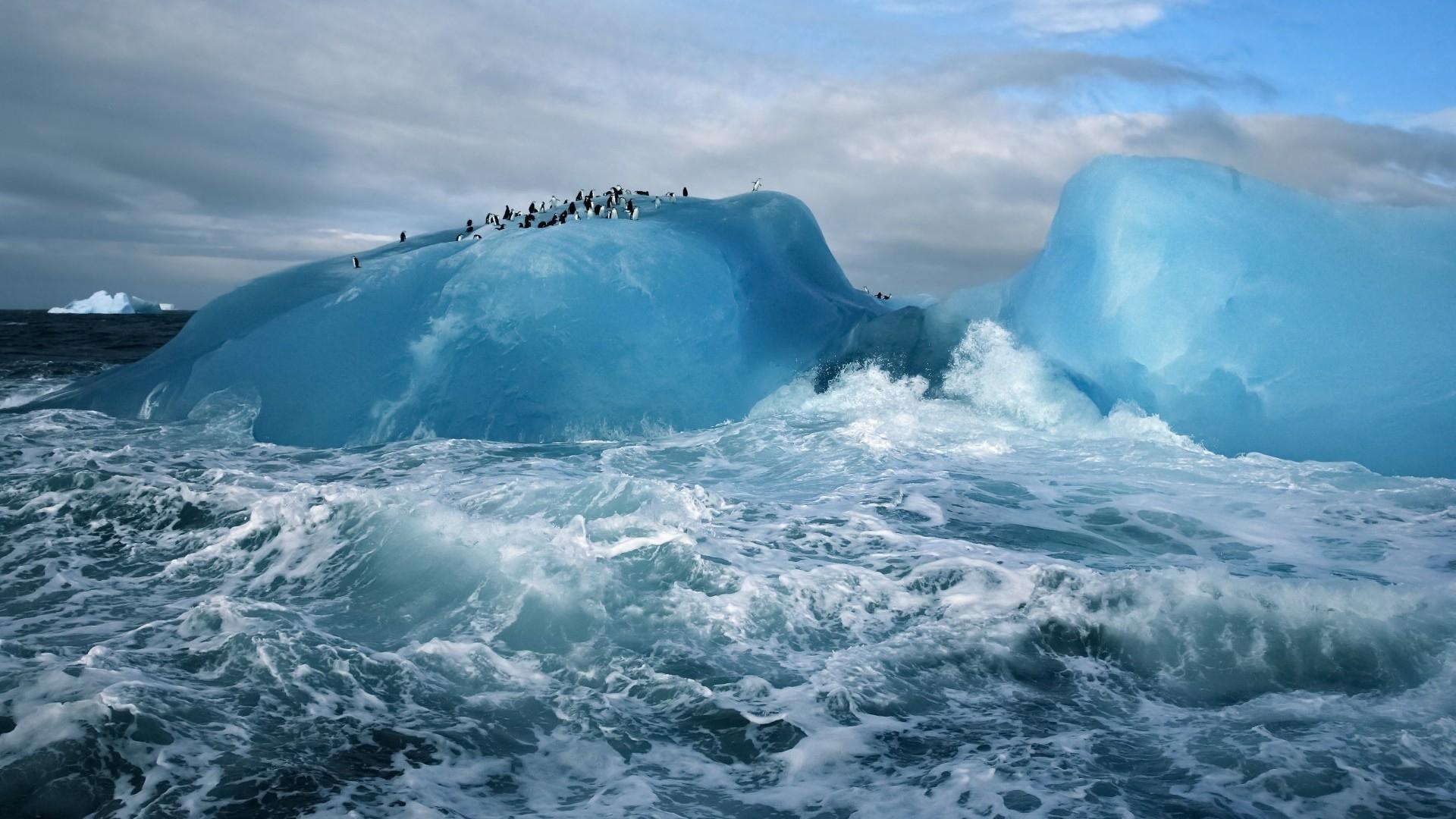 Download 1920x1080 Penguins, Iceberg, Waves, Foam, Arctic Wallpaper