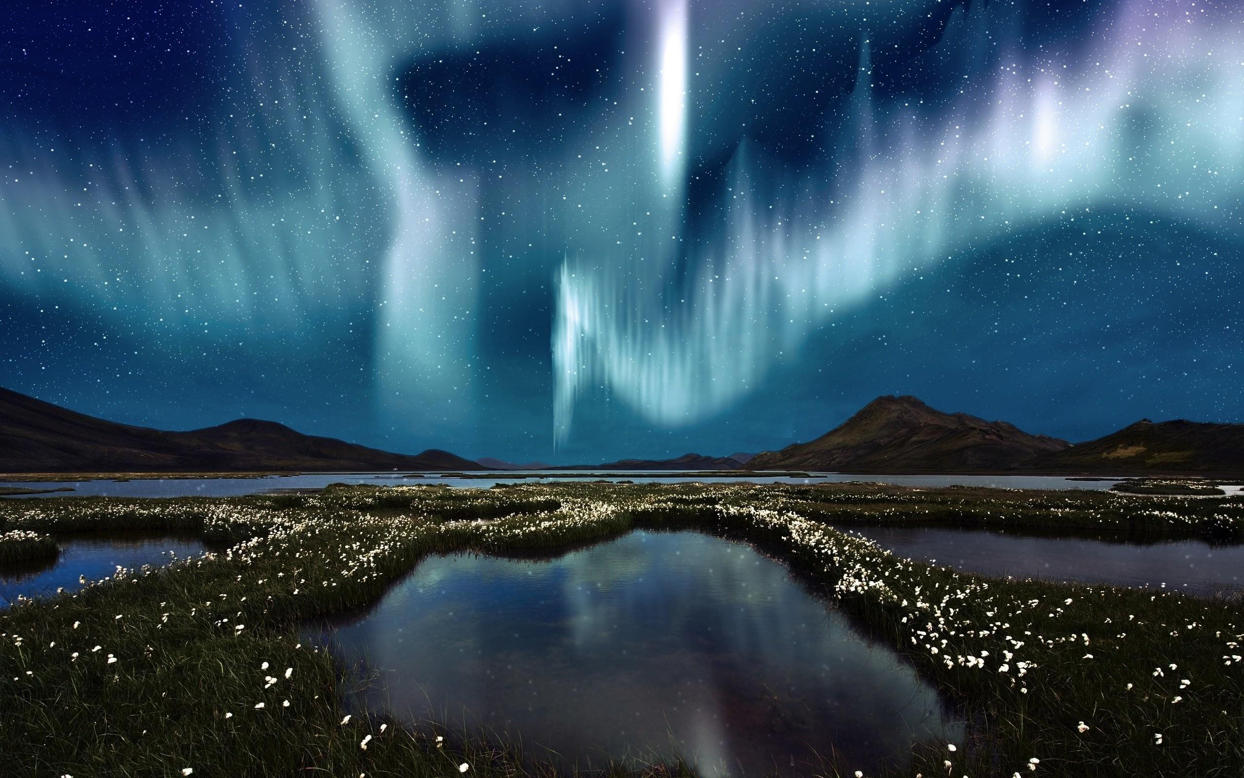 Lakes: Arctic Borealis Nature Aurora Amazing Picture Of Wallpaper