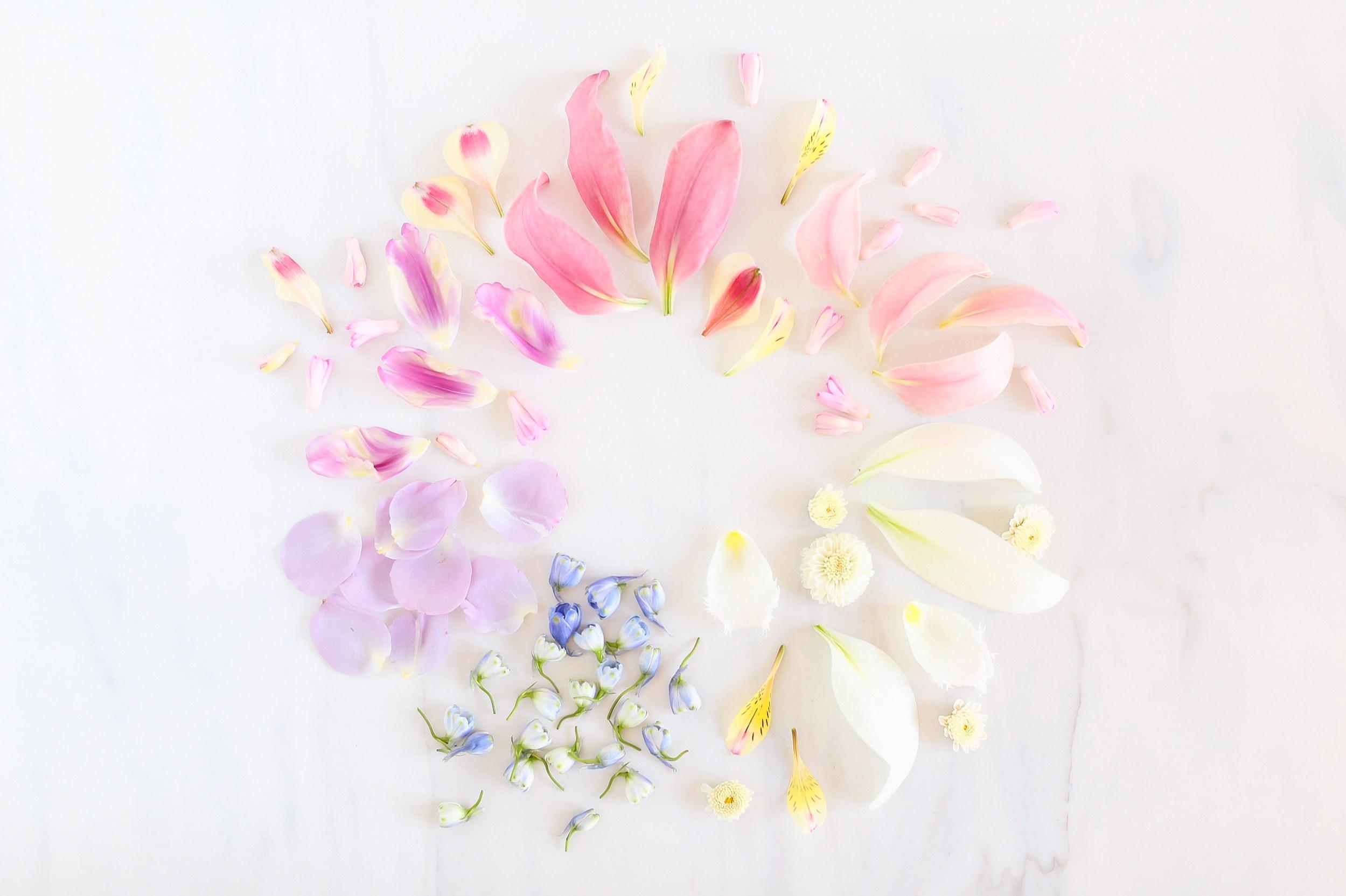 DIGITAL BLOOMS JUNE 2018. FREE DESKTOP WALLPAPERS