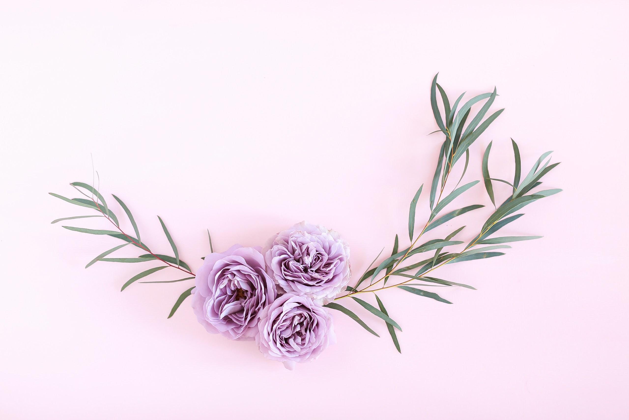 DIGITAL BLOOMS JUNE 2018. FREE DESKTOP WALLPAPERS