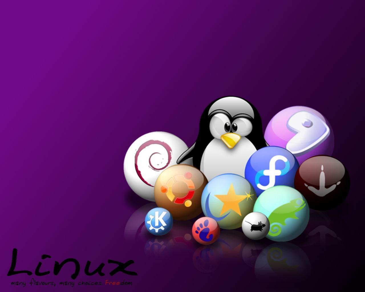 Linux distros by Abel Wallpaper. Nerd. Linux, Desktop