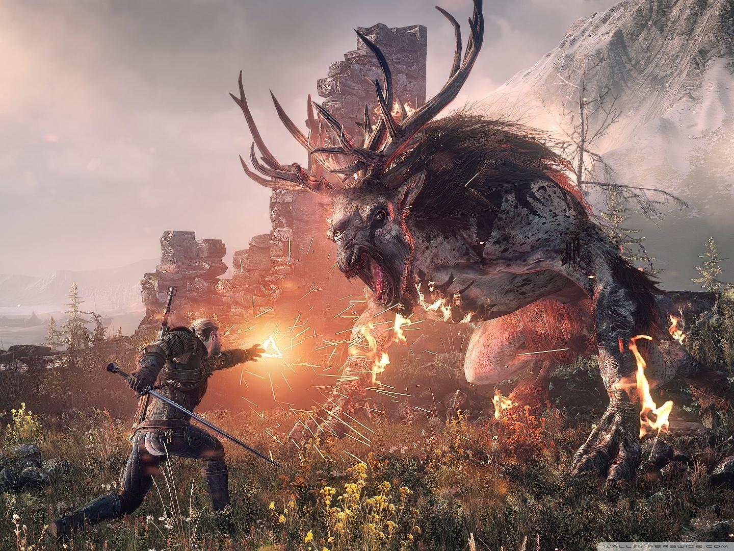 The Witcher 3 Wild Hunt Fighting the Fiend ❤ 4K HD Desktop