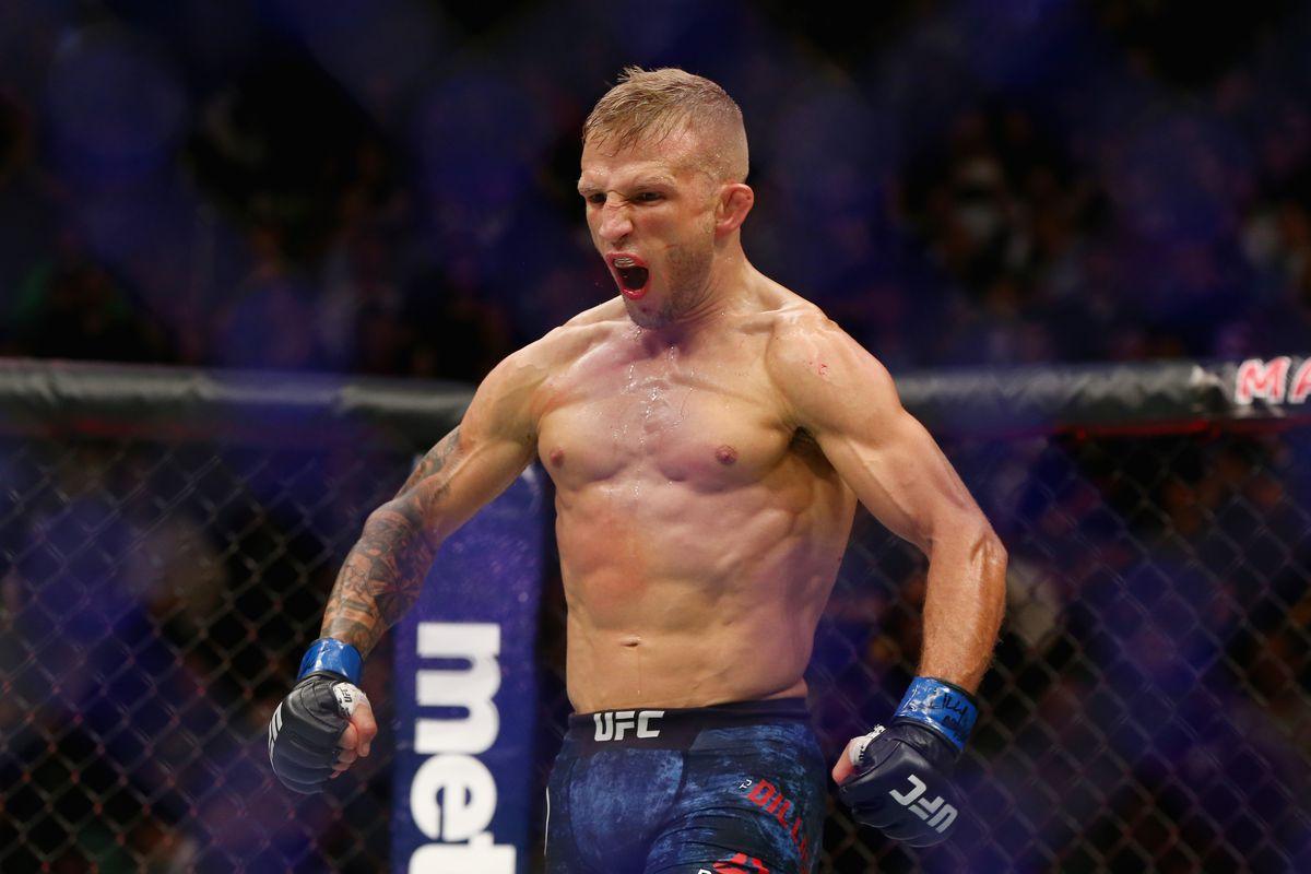 TJ Dillashaw Wallpaper 65459 1200x800px