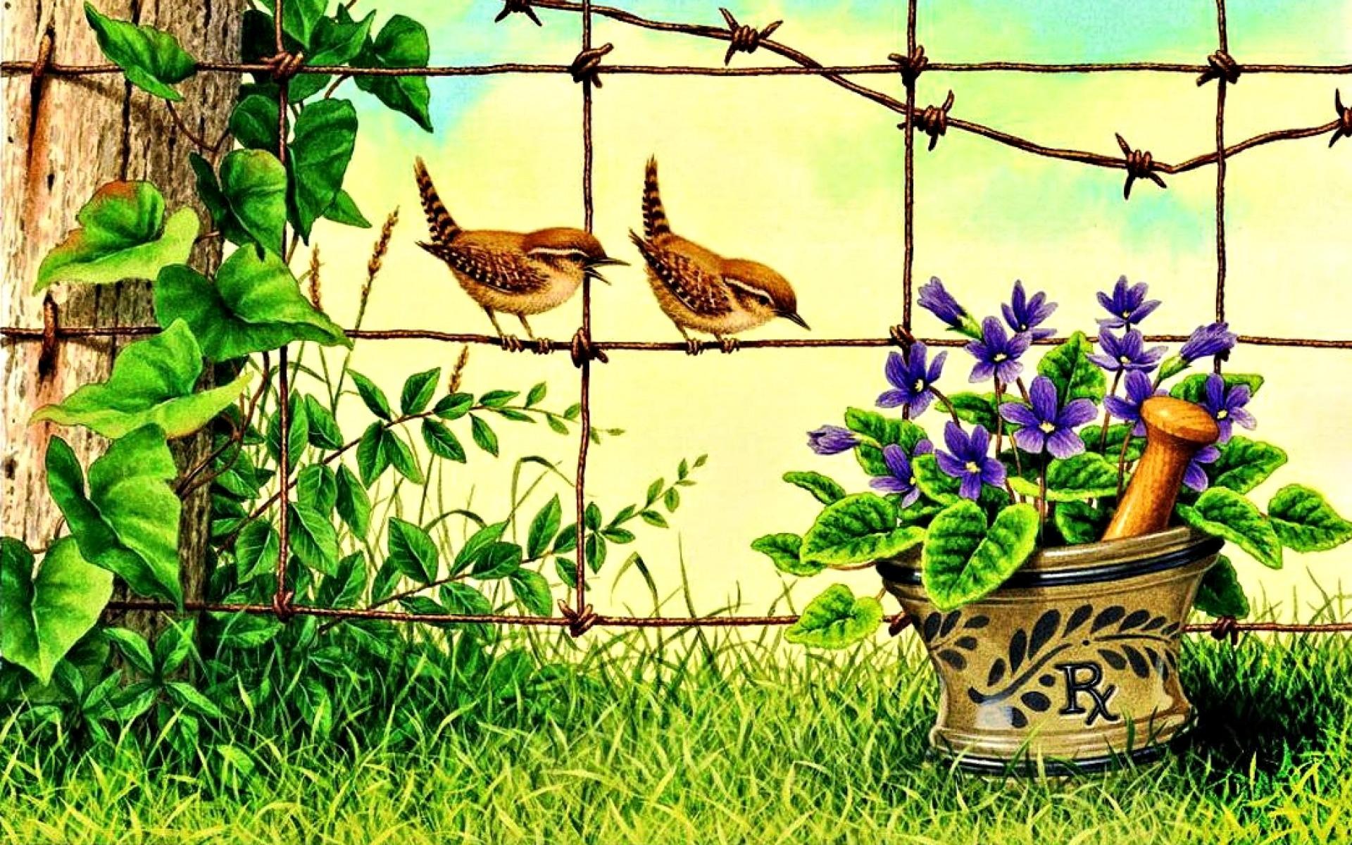Grass Fence Birds Flower Pot wallpaper. Grass Fence Birds