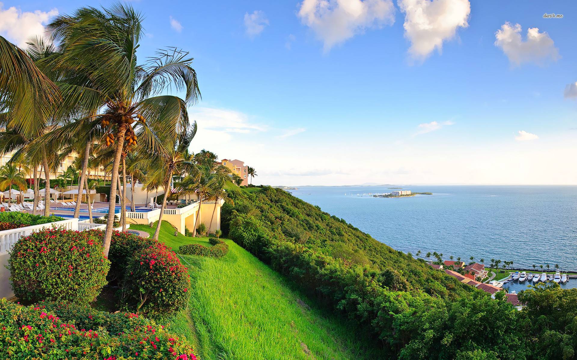 Puerto Rico Hotel and Sea