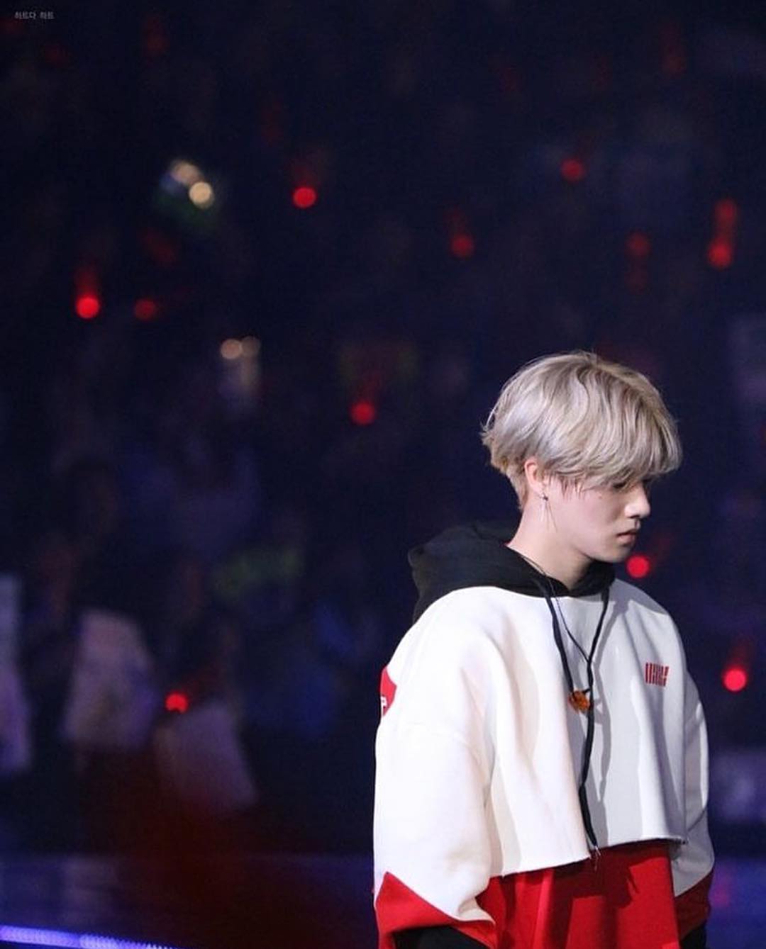 jinhwanfairy Instagram posts (photos and videos)