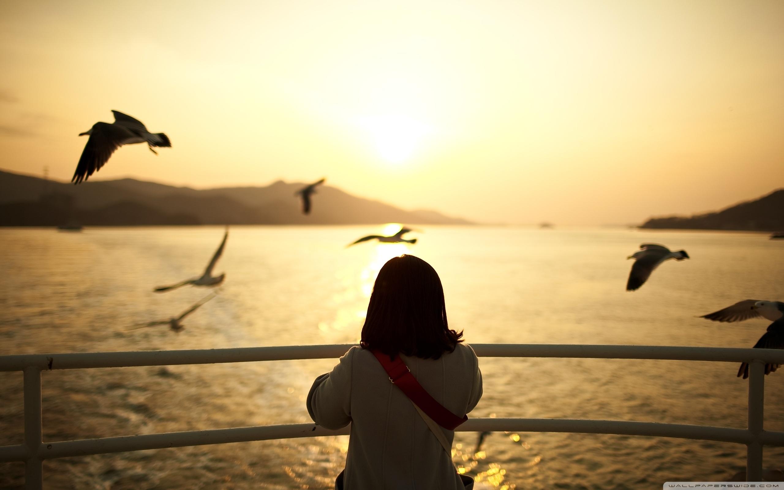 Girl Watching The Sunset ❤ 4K HD Desktop Wallpaper for 4K Ultra HD