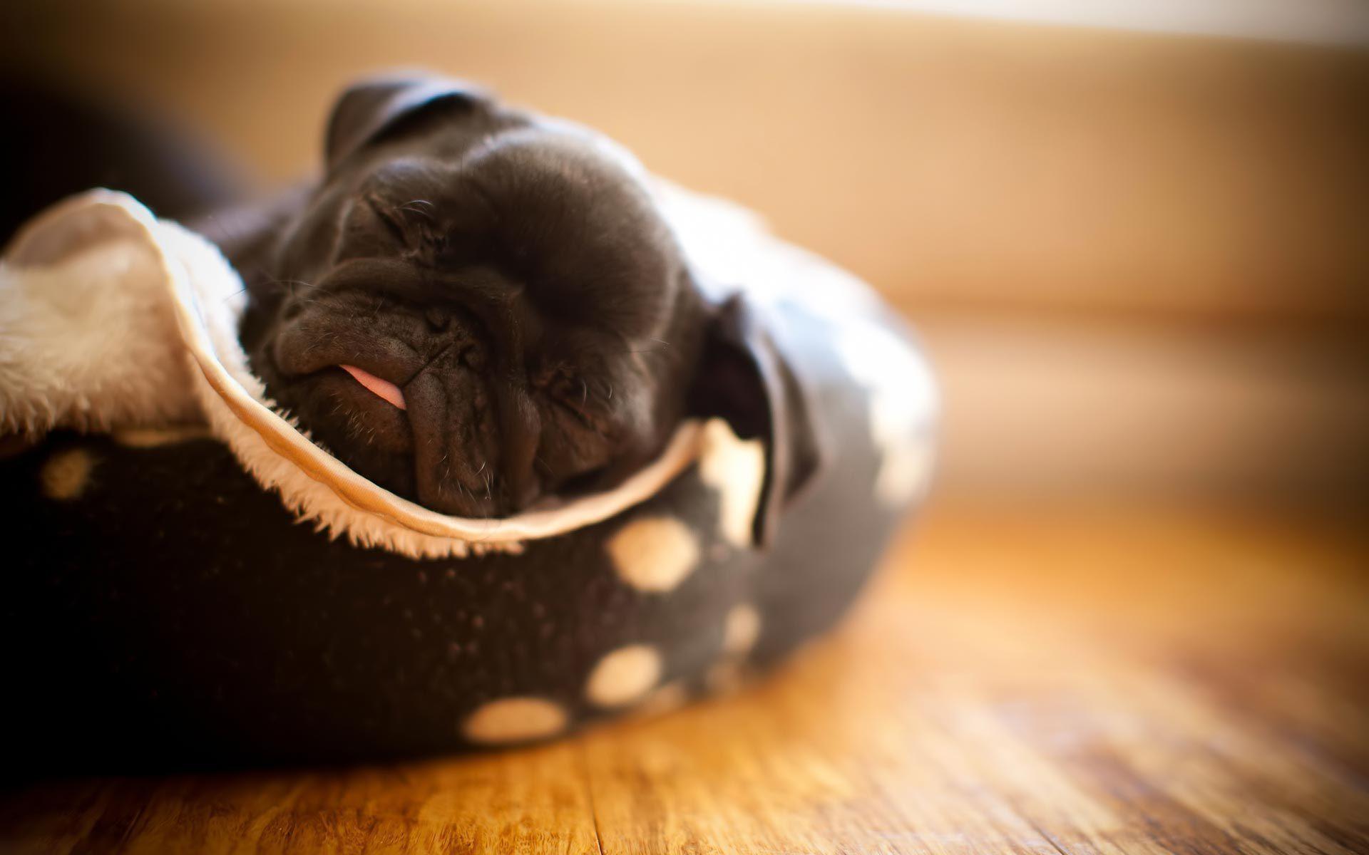 Index Of Cdn Hdwallpaper 331