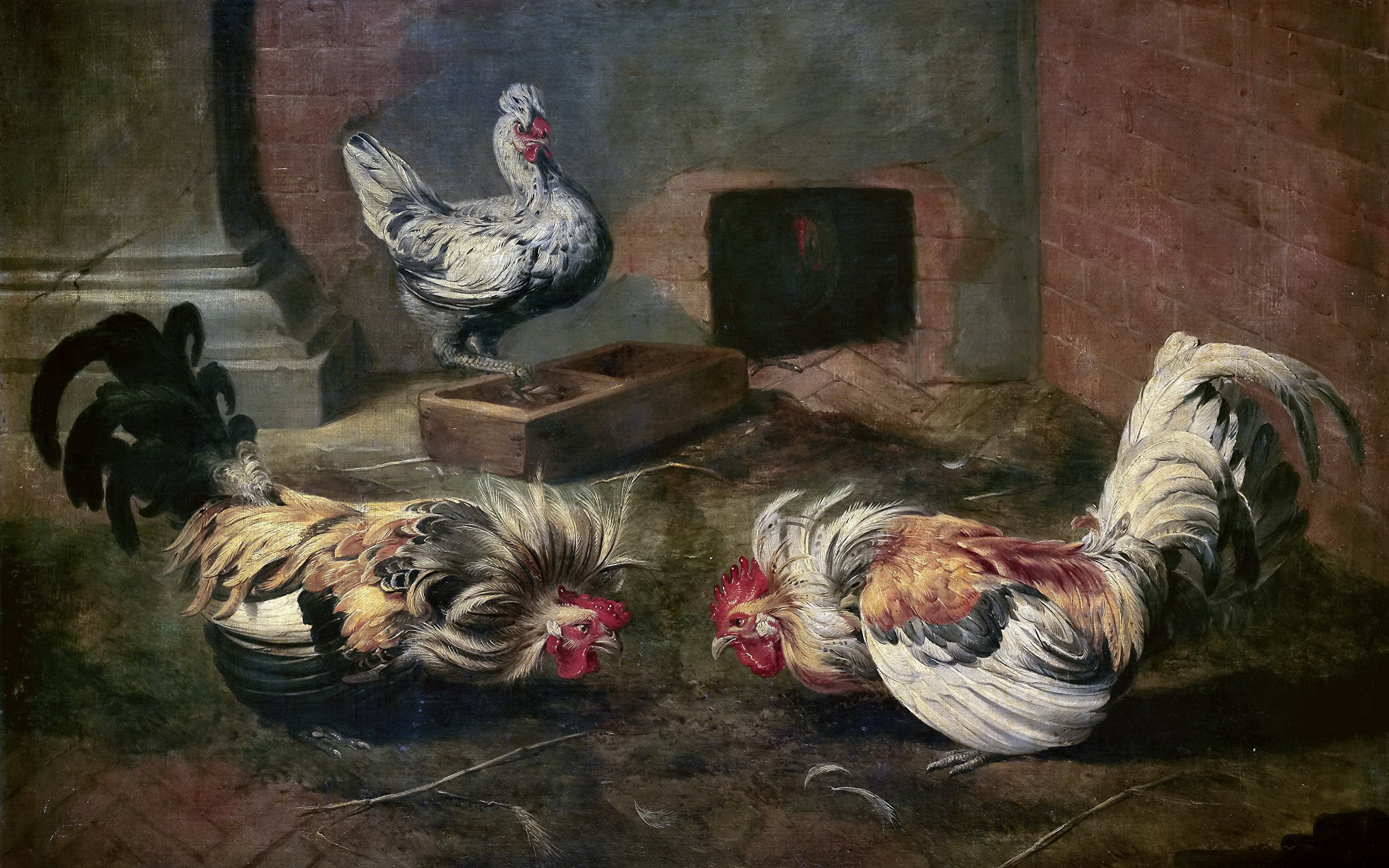 Picture Rooster Chicken Frans Snyders, Cockfighting 2560x1600