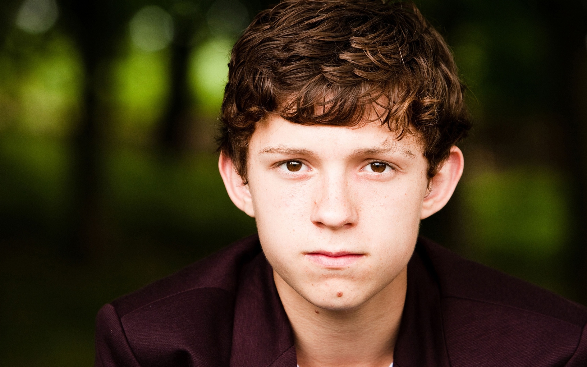 Wallpaper of Actor, English, Face, Tom Holland background & HD image