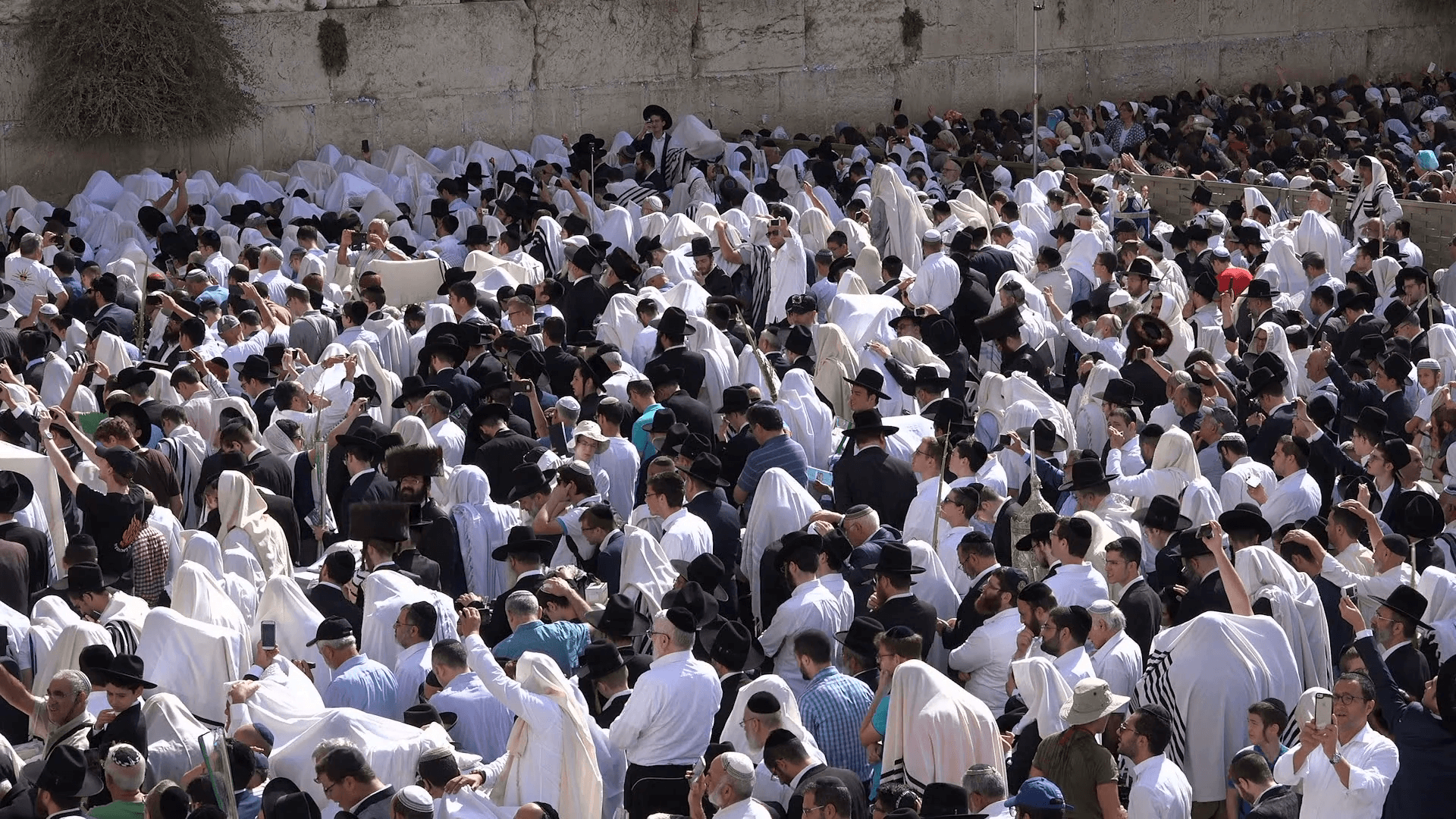 Israel religion and culture, traditionally dressed Jewish worshipers