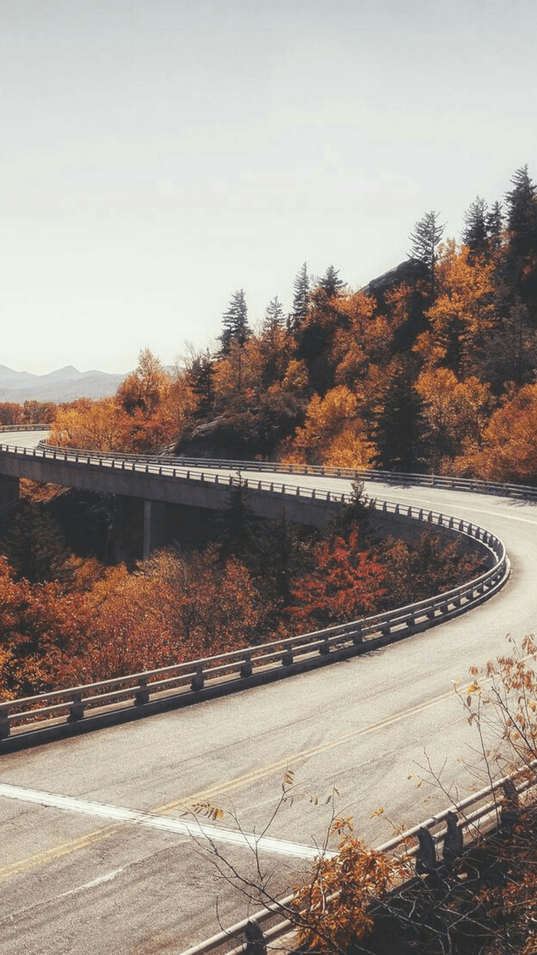 autumn wallpaper. A road less travelled. Imagen fondo de