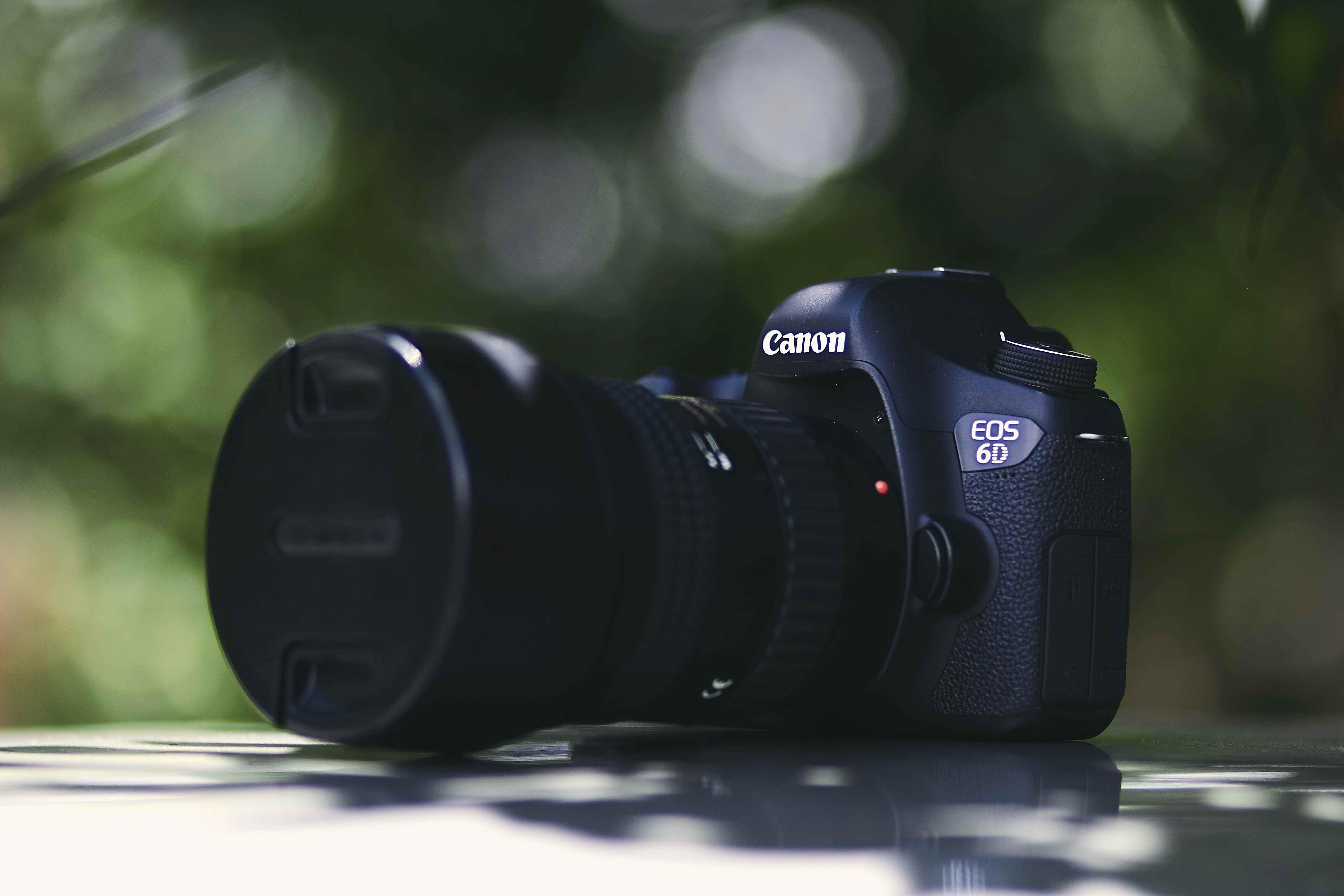 Canon 6D Mark III Release date