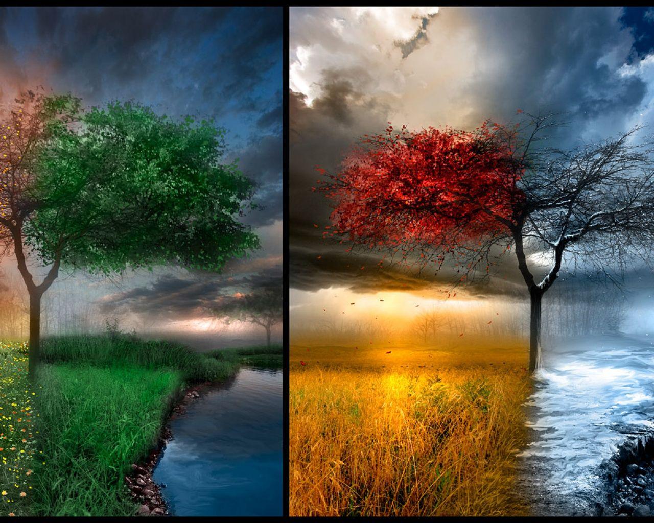 winter spring summer fall. Home / Image / Free download wallpaper