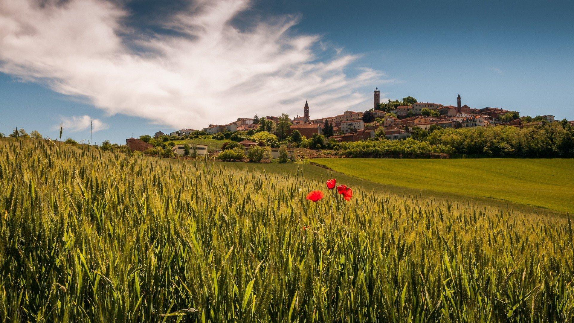 italy village landscape lu tuscany piedmont poppies HD wallpaper