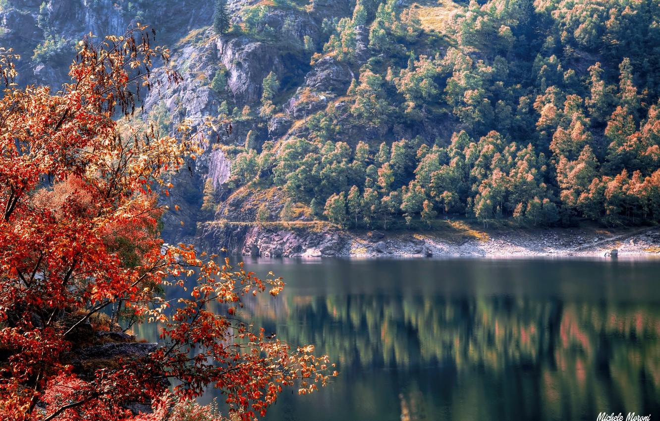 Wallpaper autumn, trees, river, rocks, Italy, Piedmont image