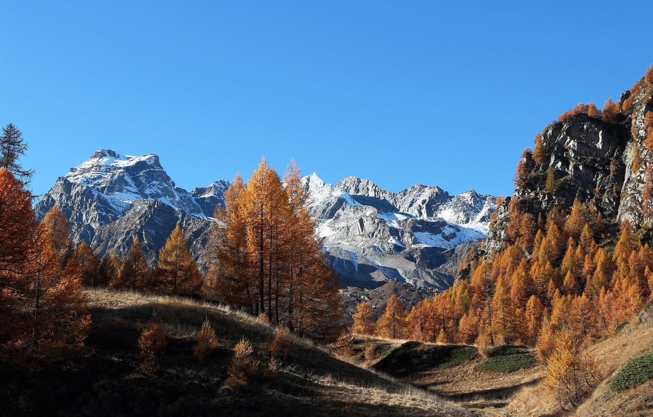 Wallpaper autumn, forest, mountains, Italy, Italy, Piedmont