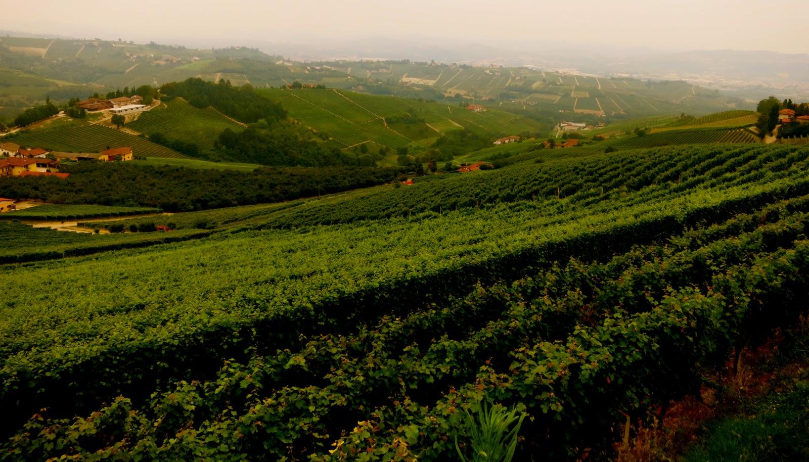 Piedmont Villages And Vineyards