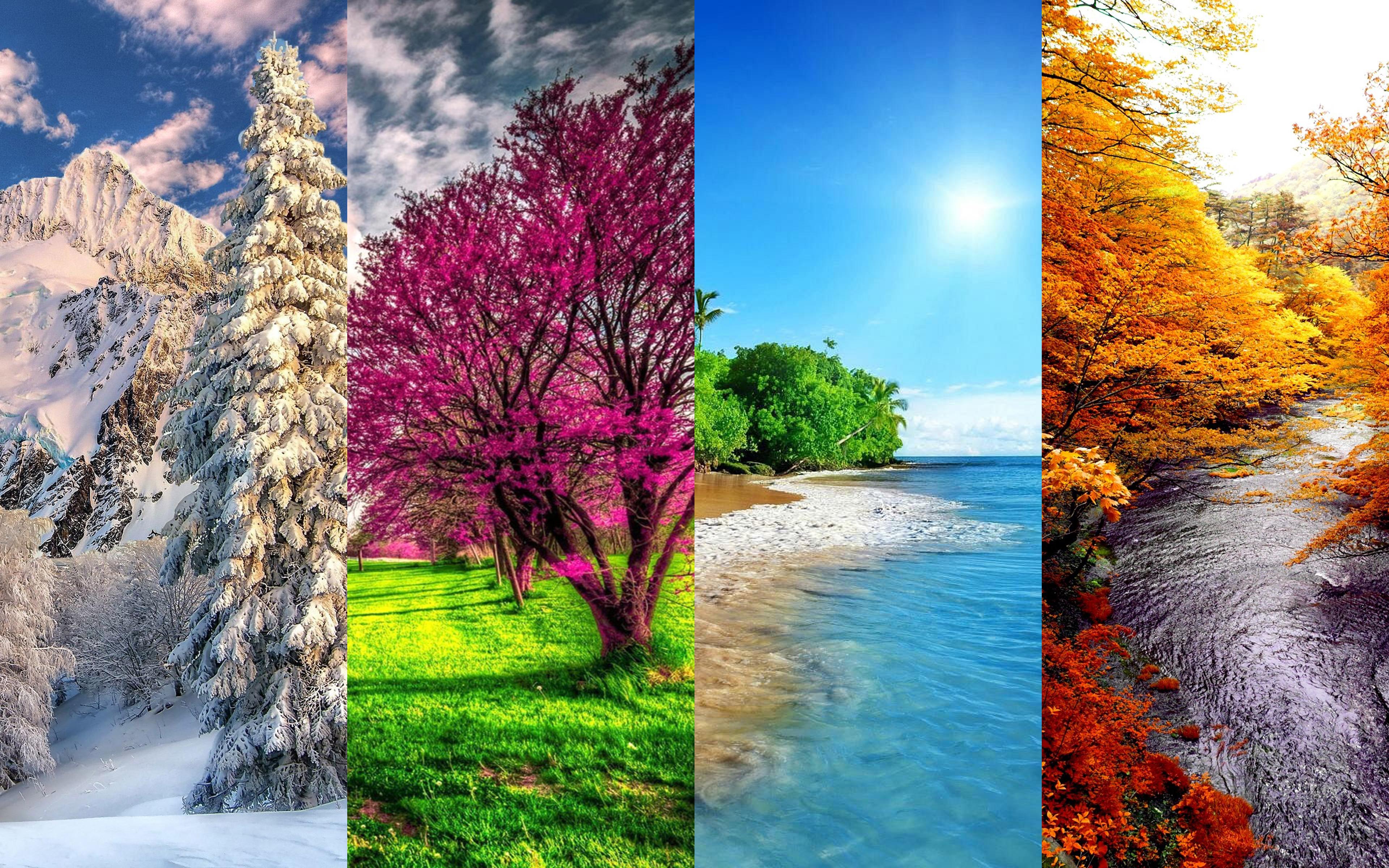 Premium Vector  Landscape four seasons. winter, spring, summer