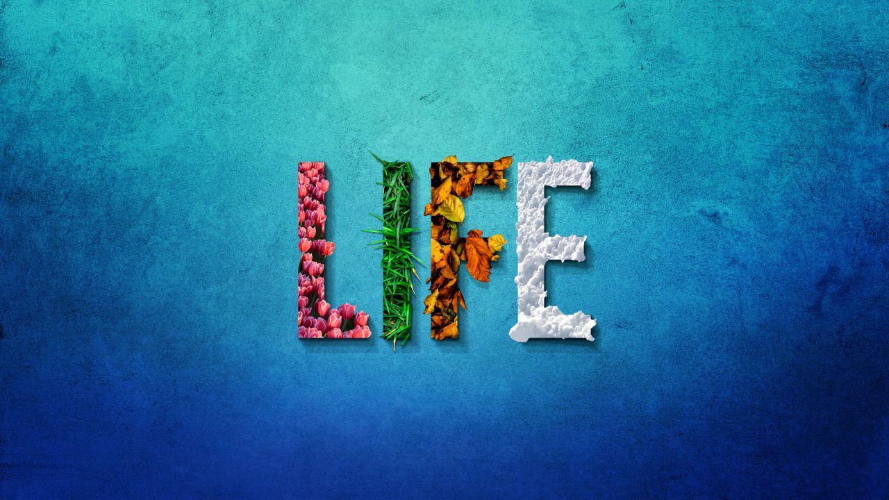 Wallpaper Life, Seasons, Summer, Spring, Autumn, Winter, 5K, Typography / Editor's Picks,. Wallpaper for iPhone, Android, Mobile and Desktop
