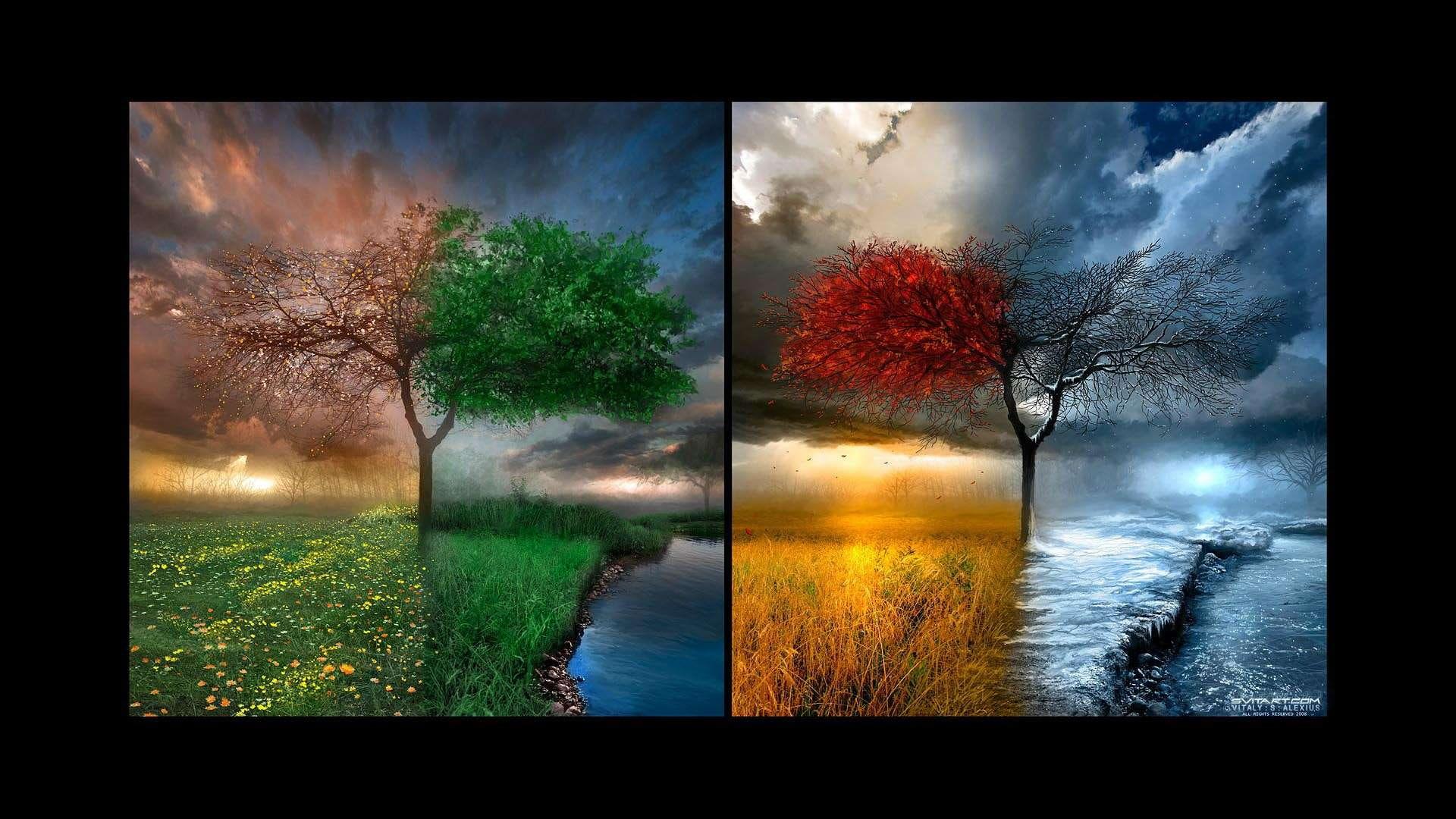 HD wallpaper: Four Seasons HD, autumn, spring, summer, winter