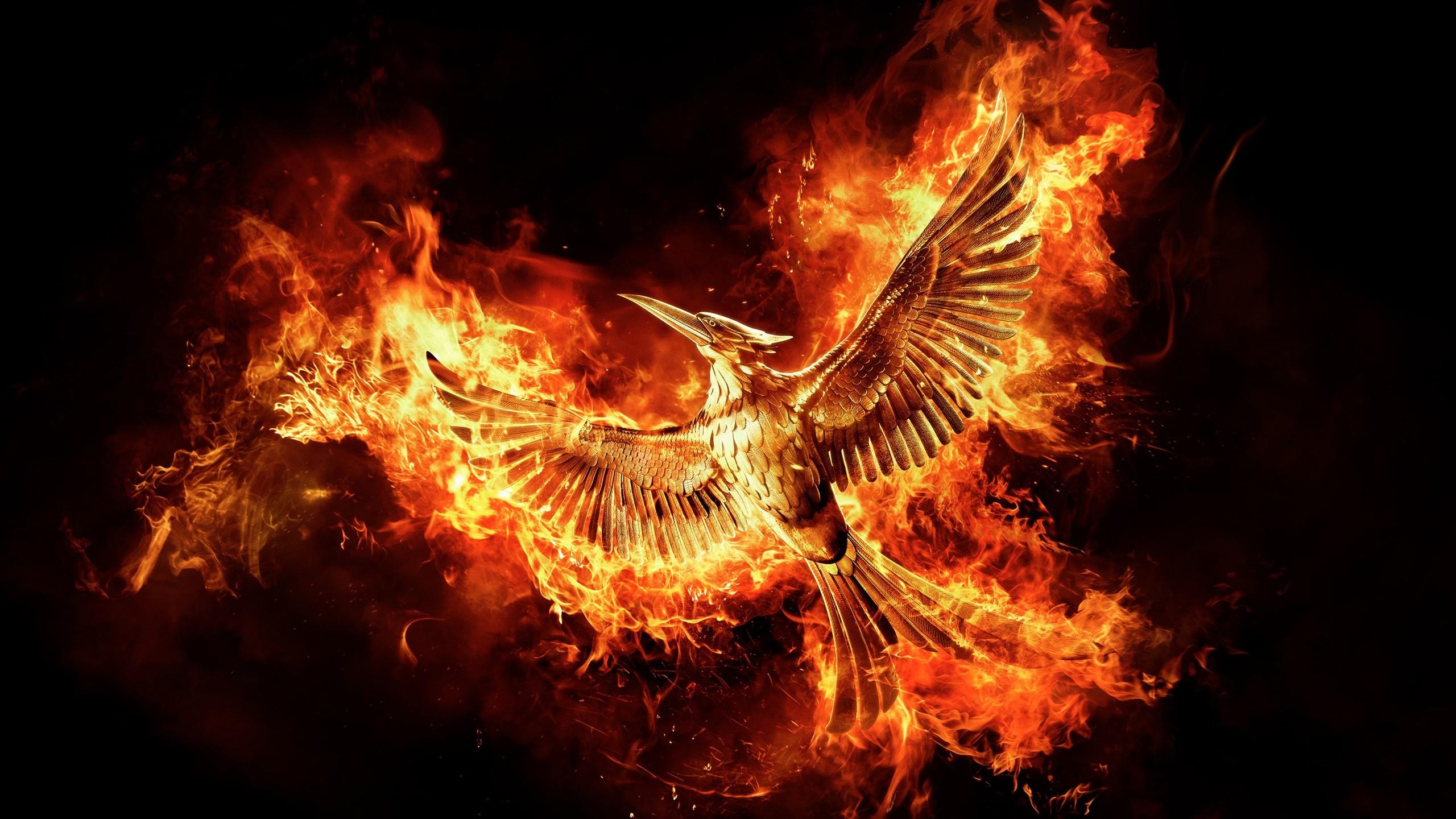 Wallpaper Blink of The Hunger Games: Mockingjay 2