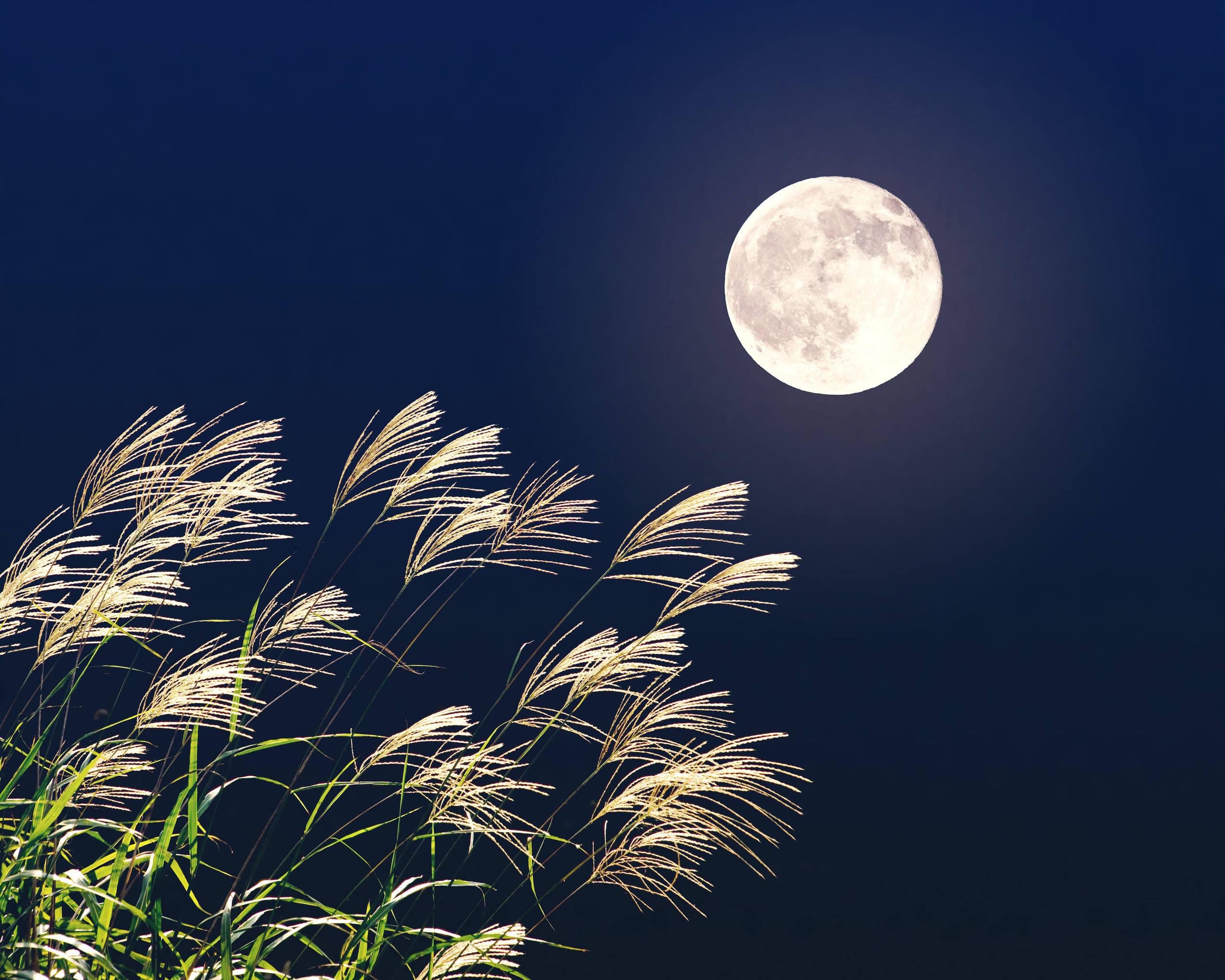 Full moon may 2019 wallpapers wallpaper cave