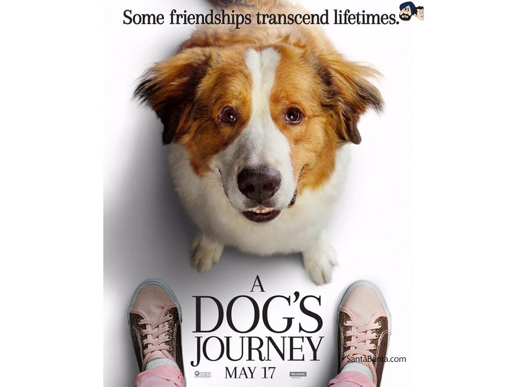 A Dogs Journey Movie Wallpaper