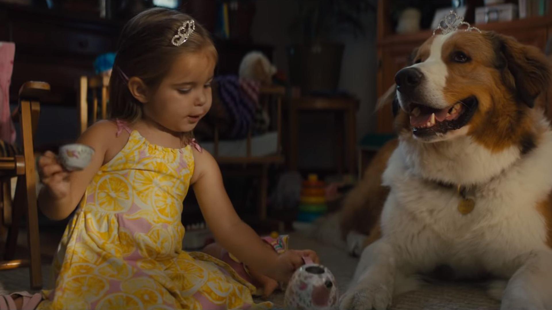 A Girl Is Bailey's New Mission In Sequel “A Dog's Journey”