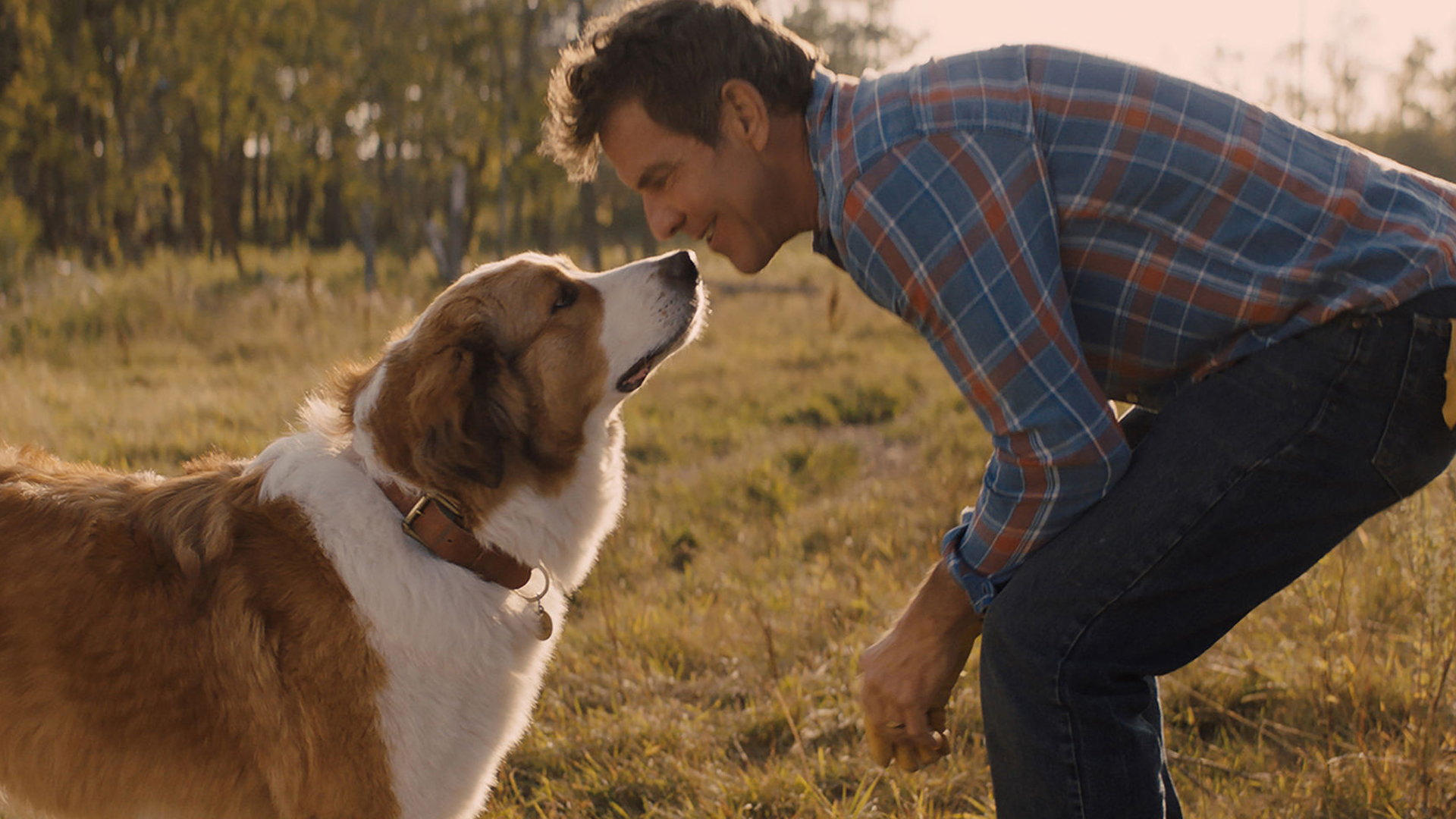 Animal Lover Dennis Quaid Returns In “A Dog's Journey”