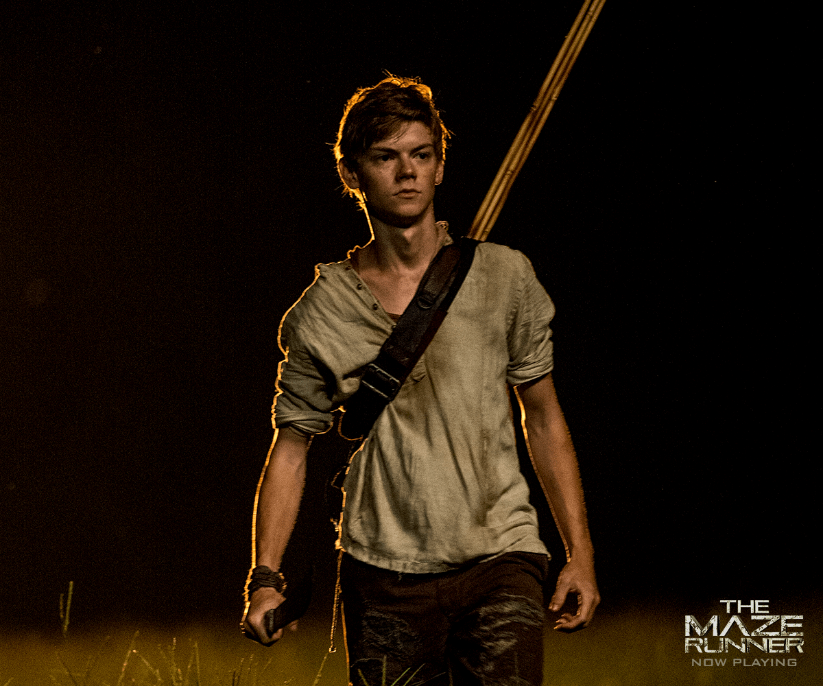 Newt Maze Runner Wallpapers Wallpaper Cave