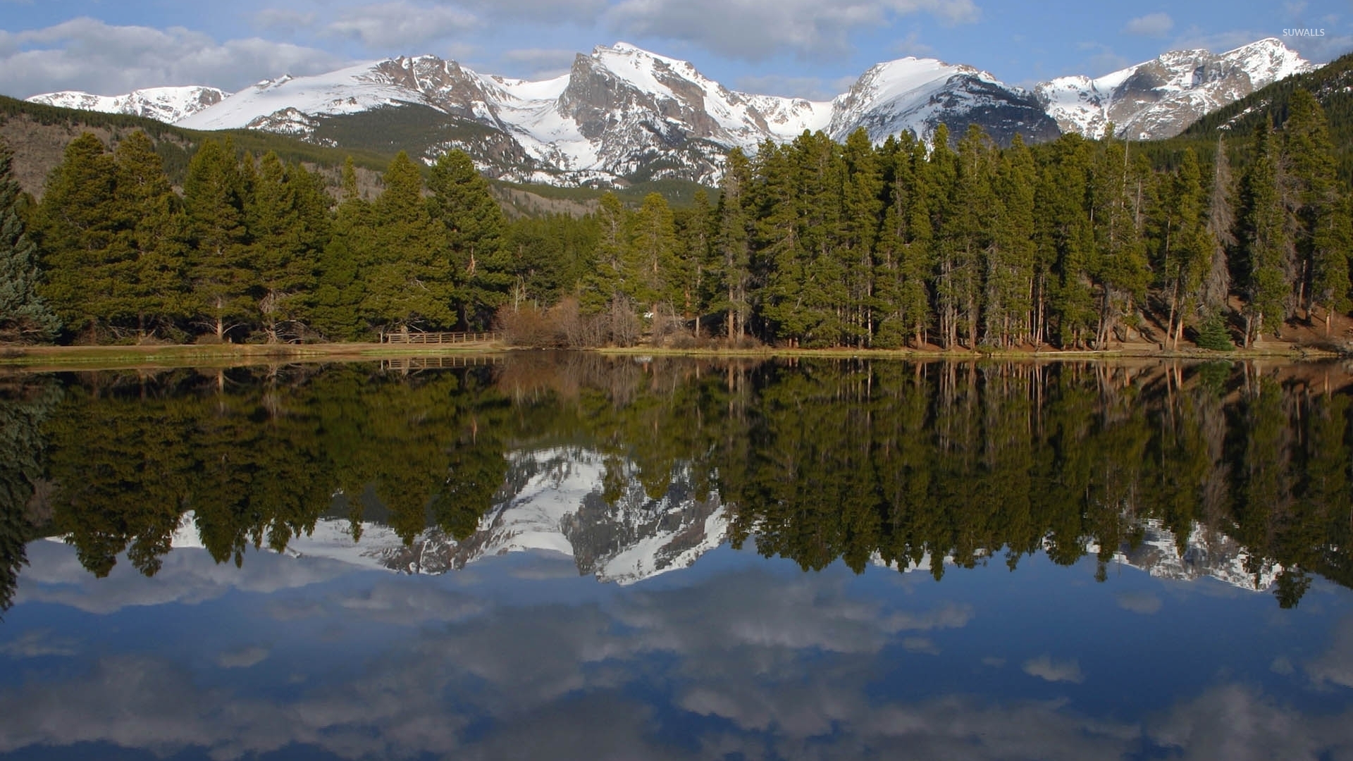 Green forest in front of the snowy mountain peaks wallpaper