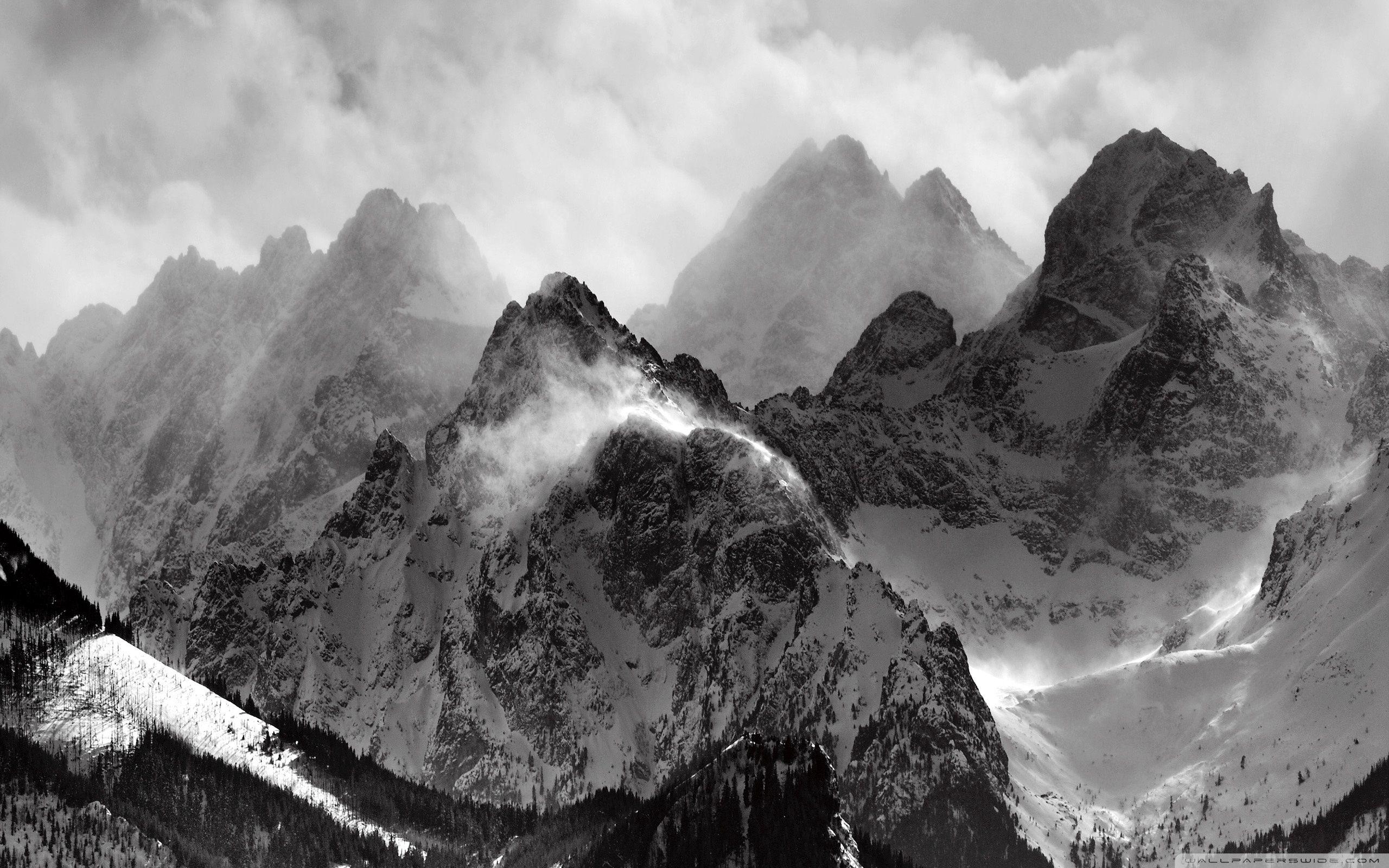 Download Misty Mountains HD Wallpaper (mit Bildern)