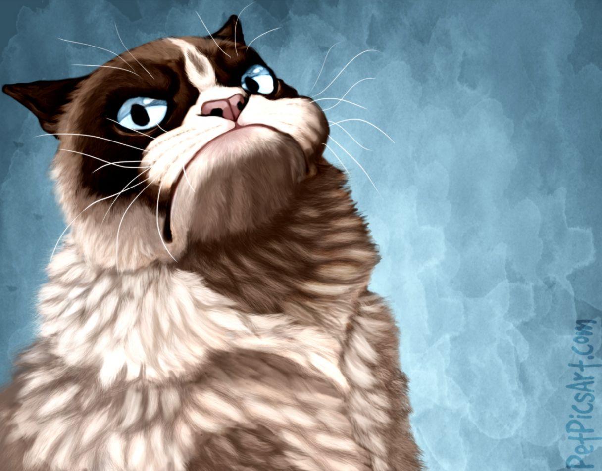 Grumpy Cat HD Wallpaper