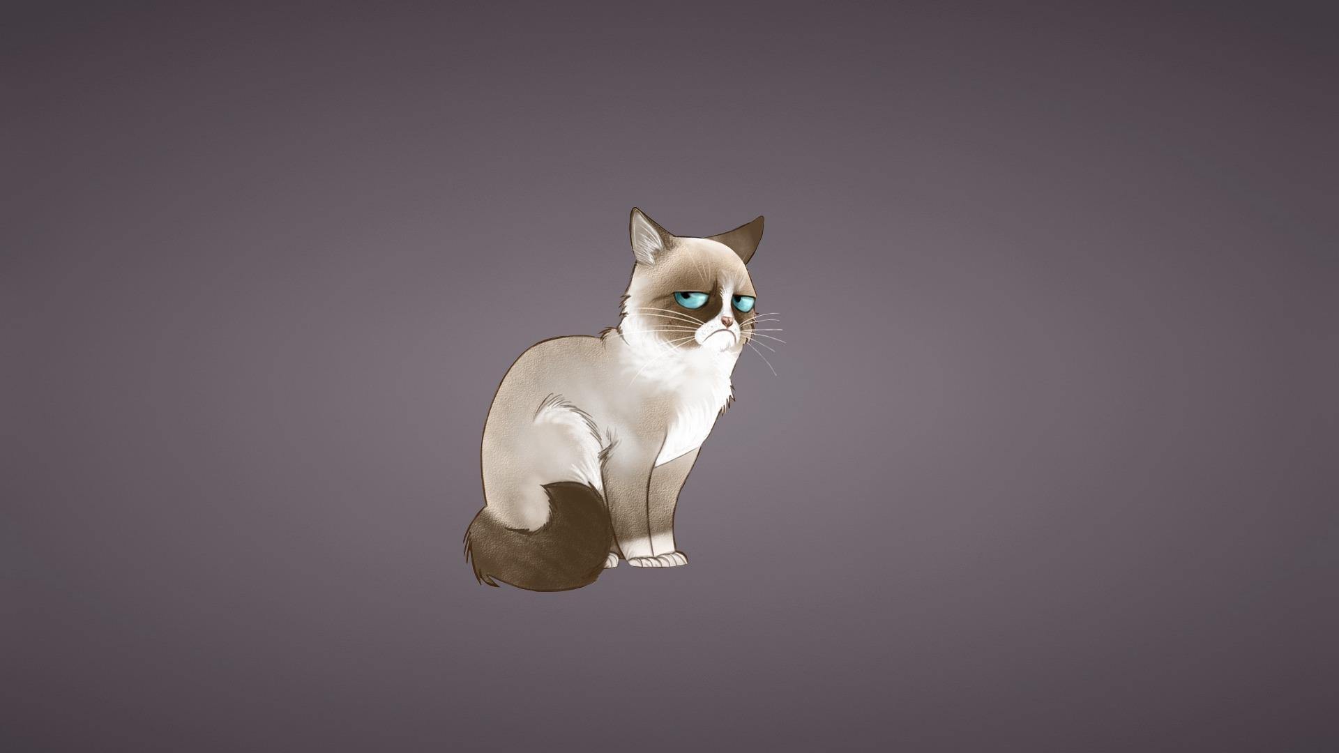 Download wallpaper 1920x1080 grumpy cat, meme, cat full HD