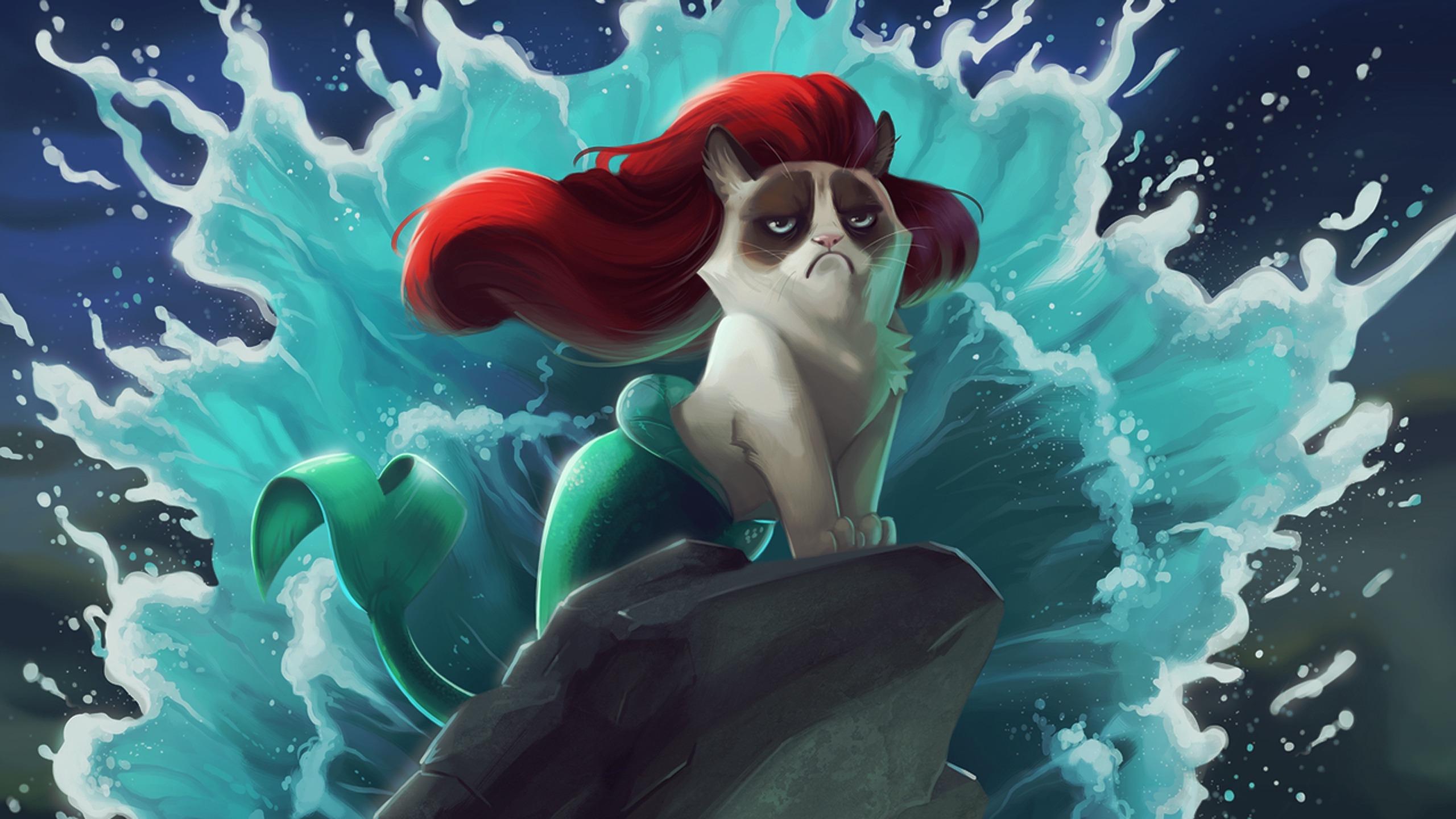 Download wallpaper 2560x1440 cat, mermaid, cartoon, grumpy cat HD