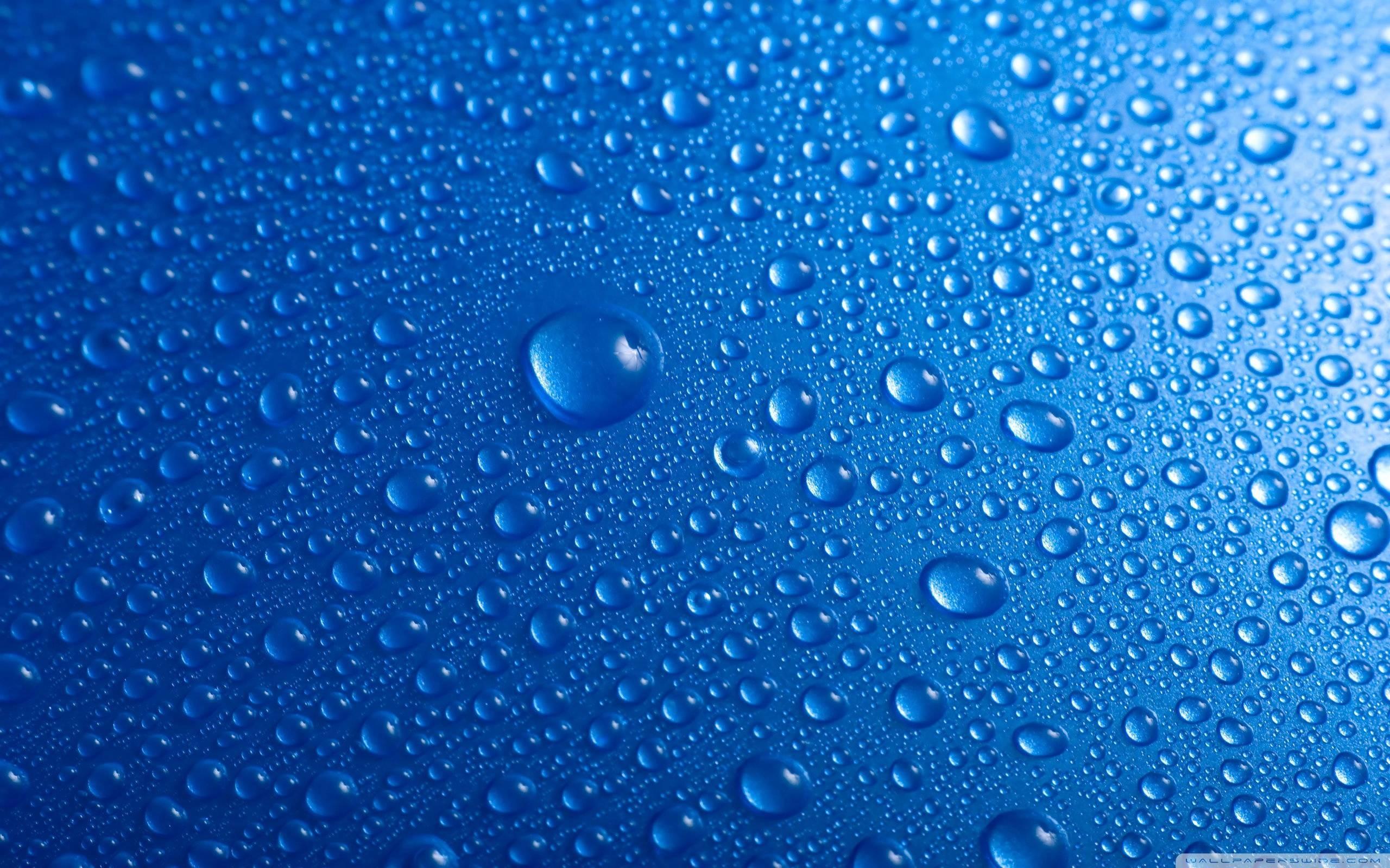 Water Drops Wallpaper