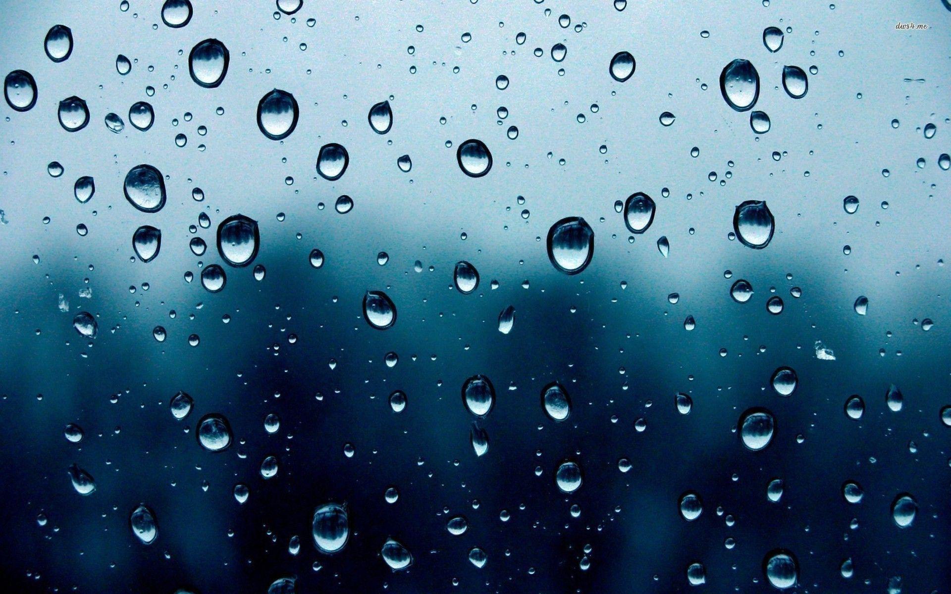 Rain Drops Wallpaper