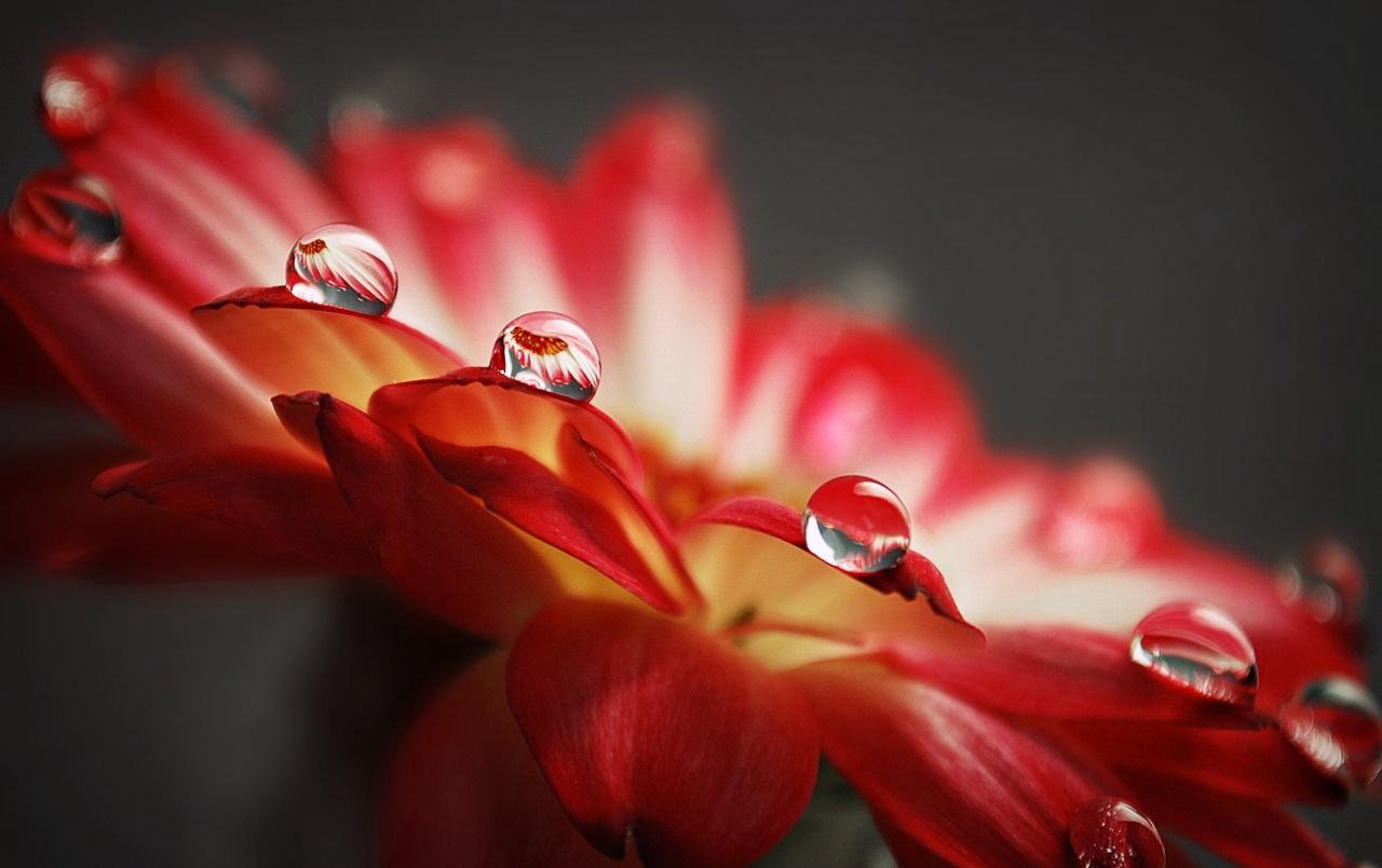 Cool Water Drops HD Wallpaper Group , HD Wallpaper